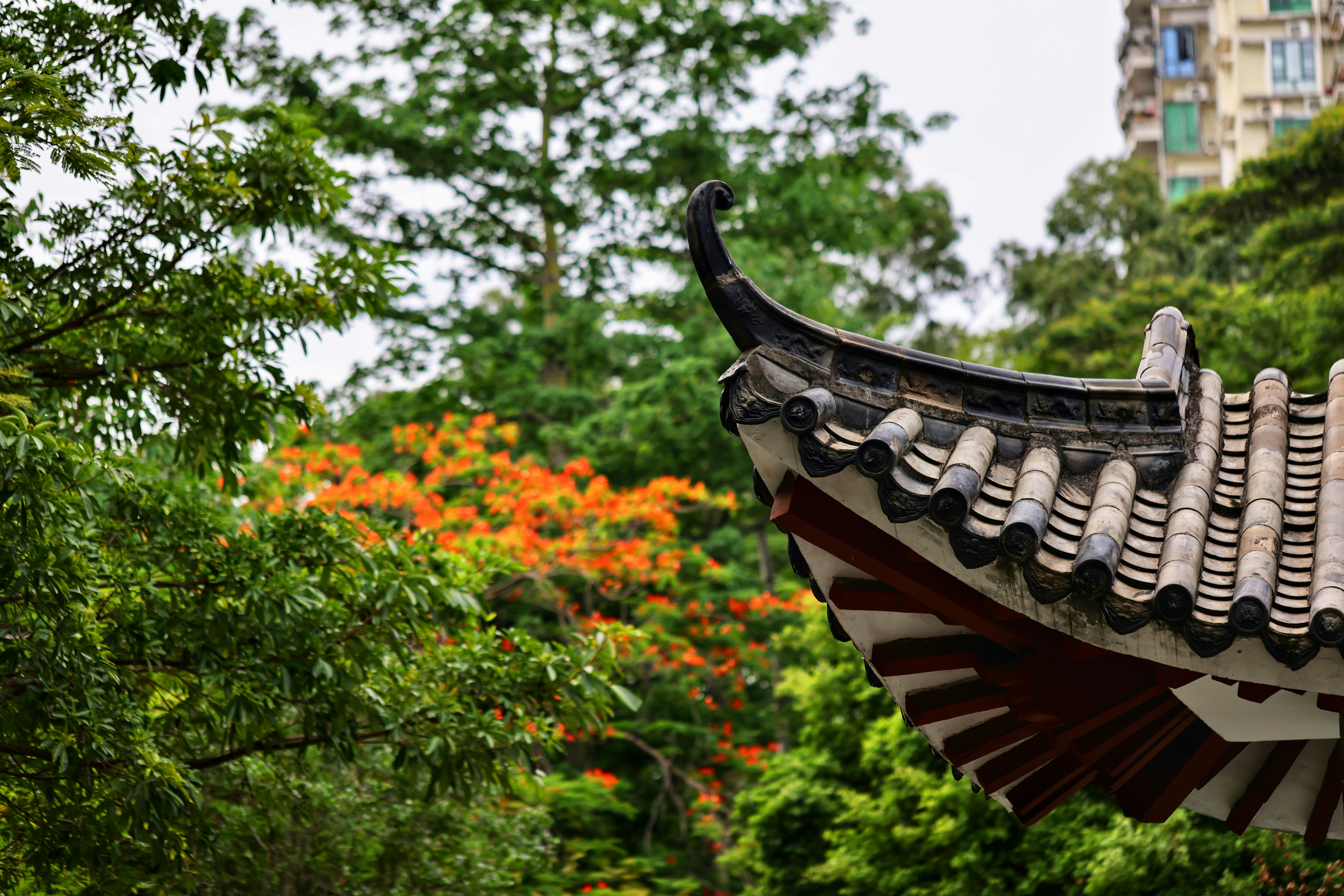 Photo by dickenslin76