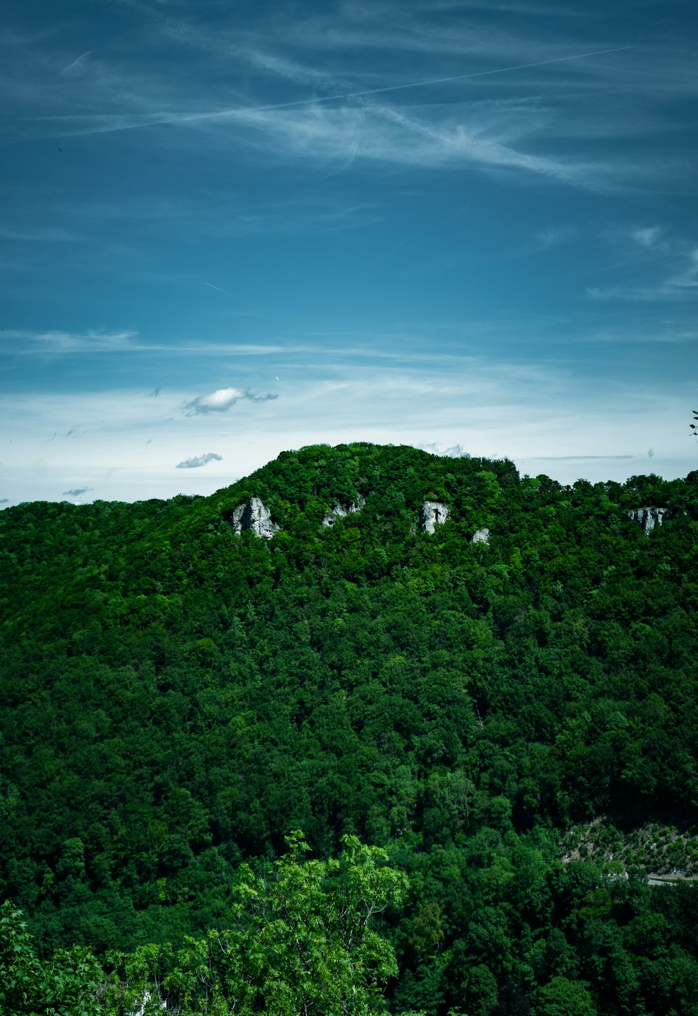 a large hill with trees on top of it