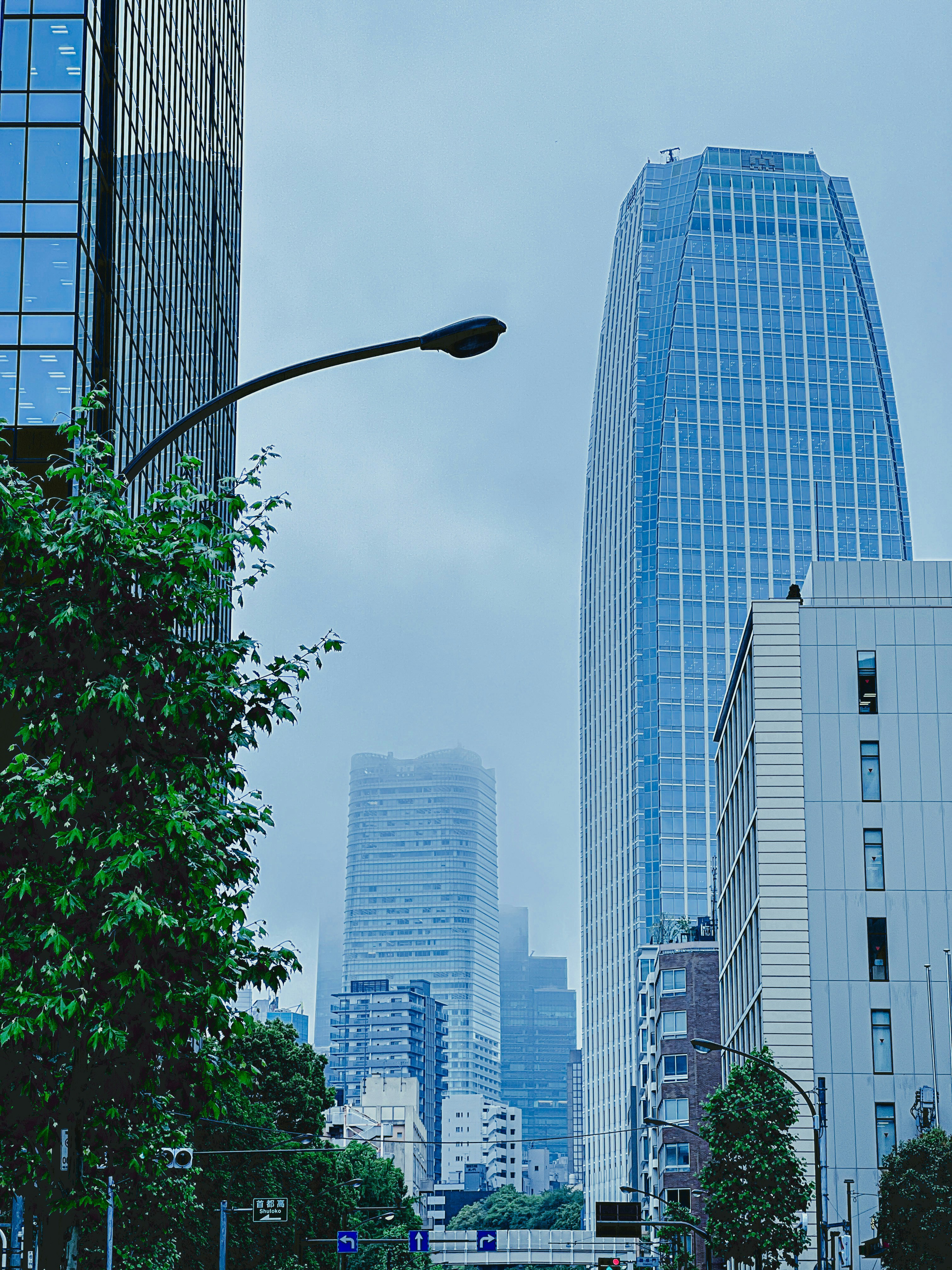a city street with tall buildings in the background