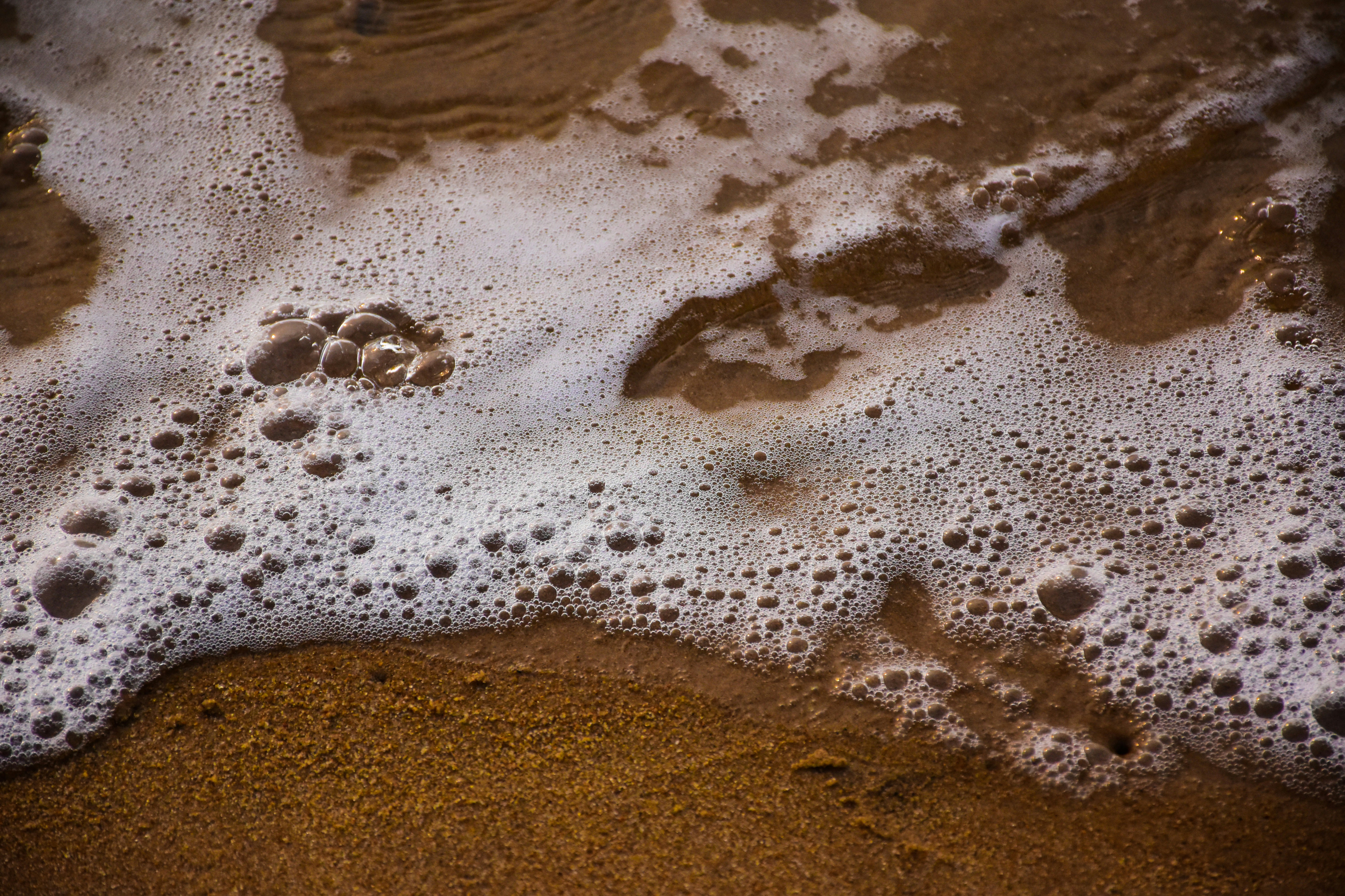 Photo by ankita_clicks