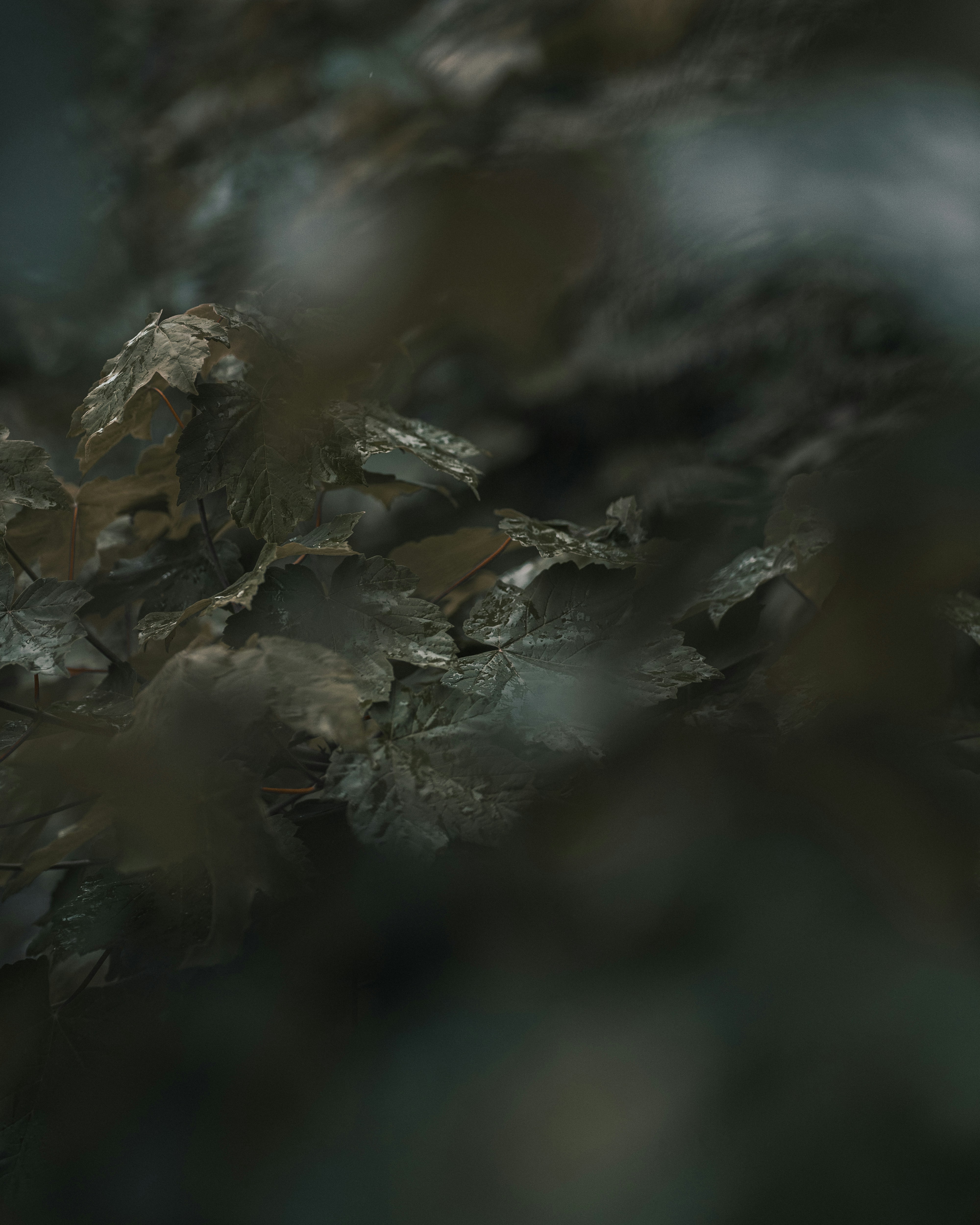 Photo by jefftrierweiler