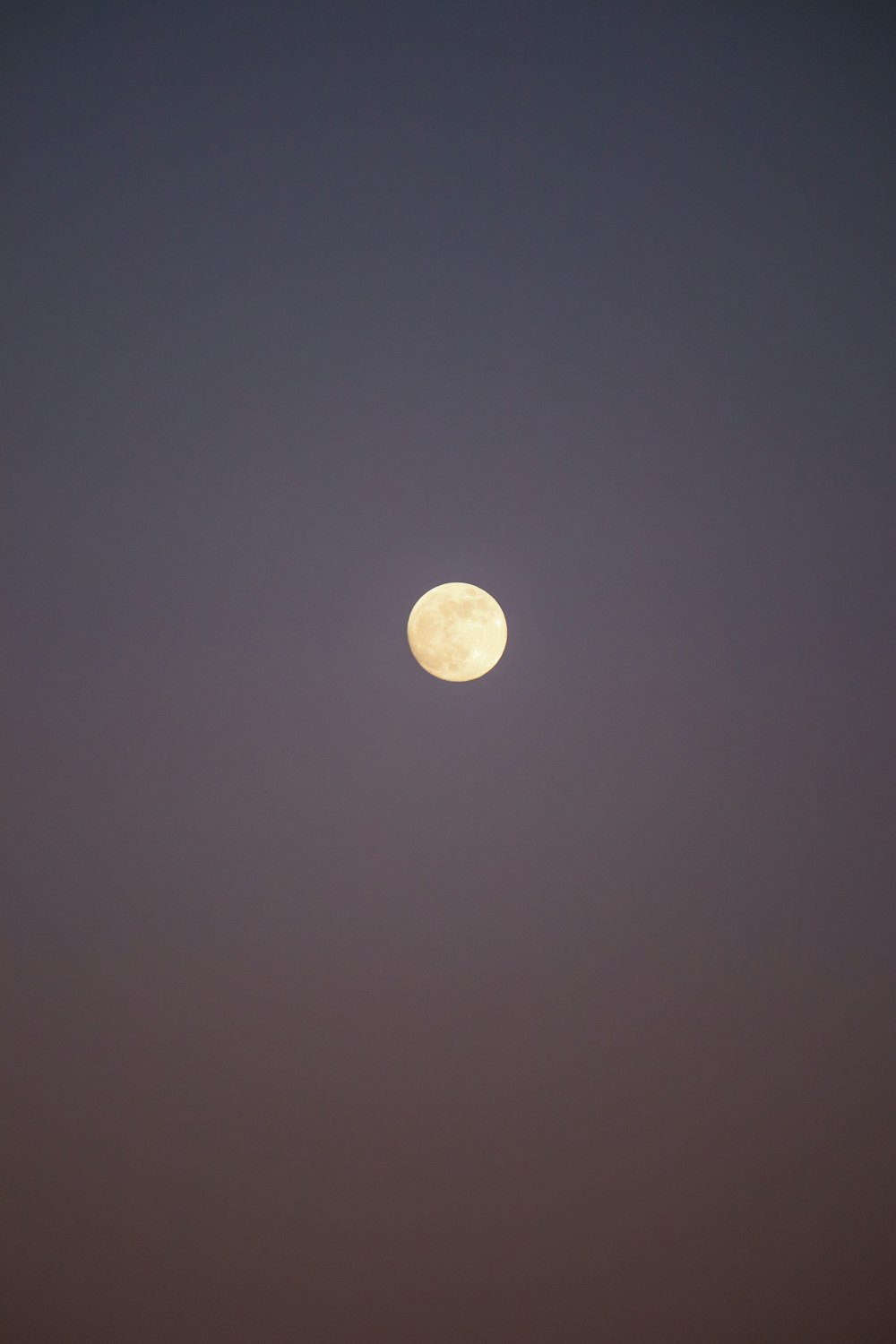 a full moon is seen in the sky