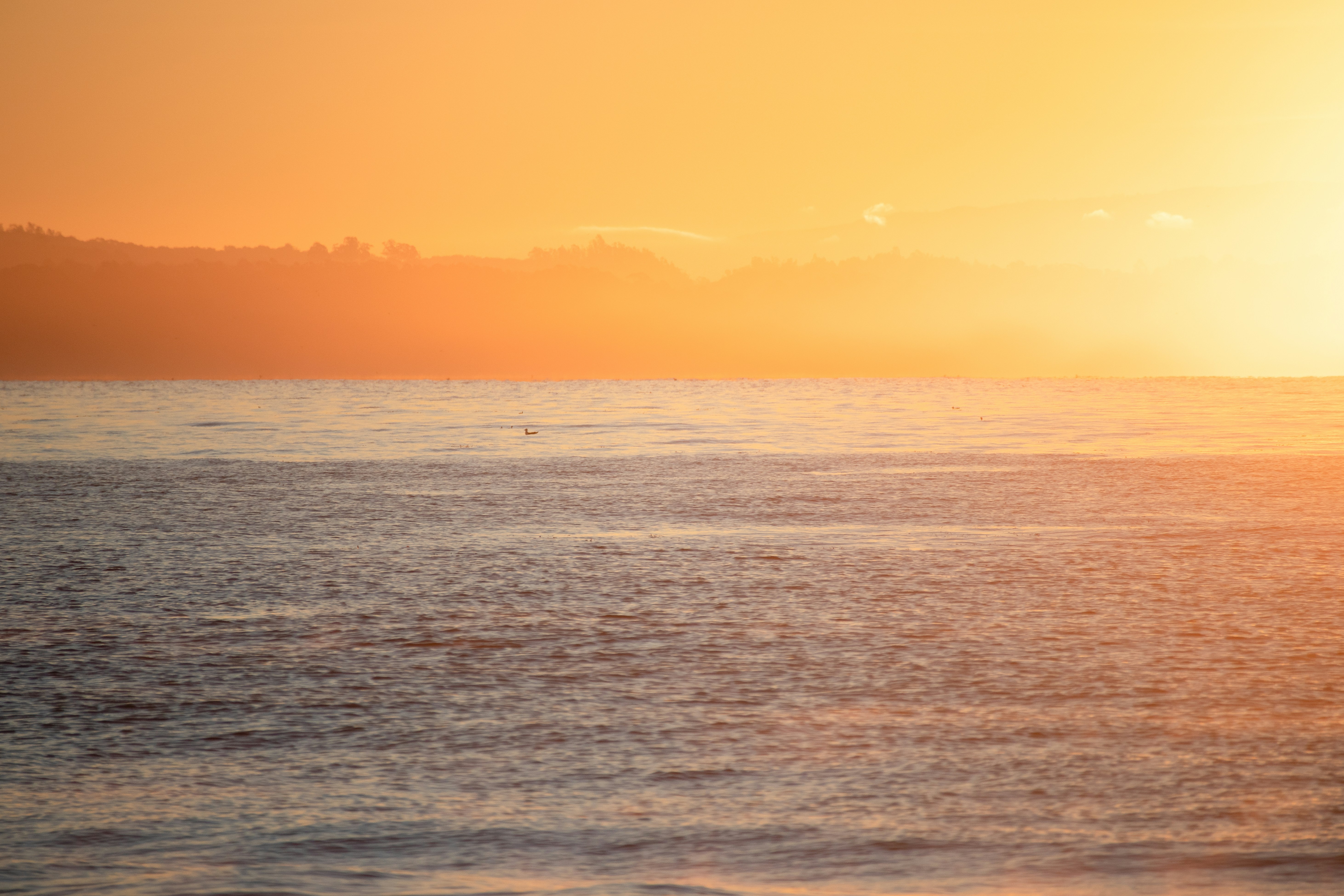 How Capitola Became the Beach Hub It Is Today