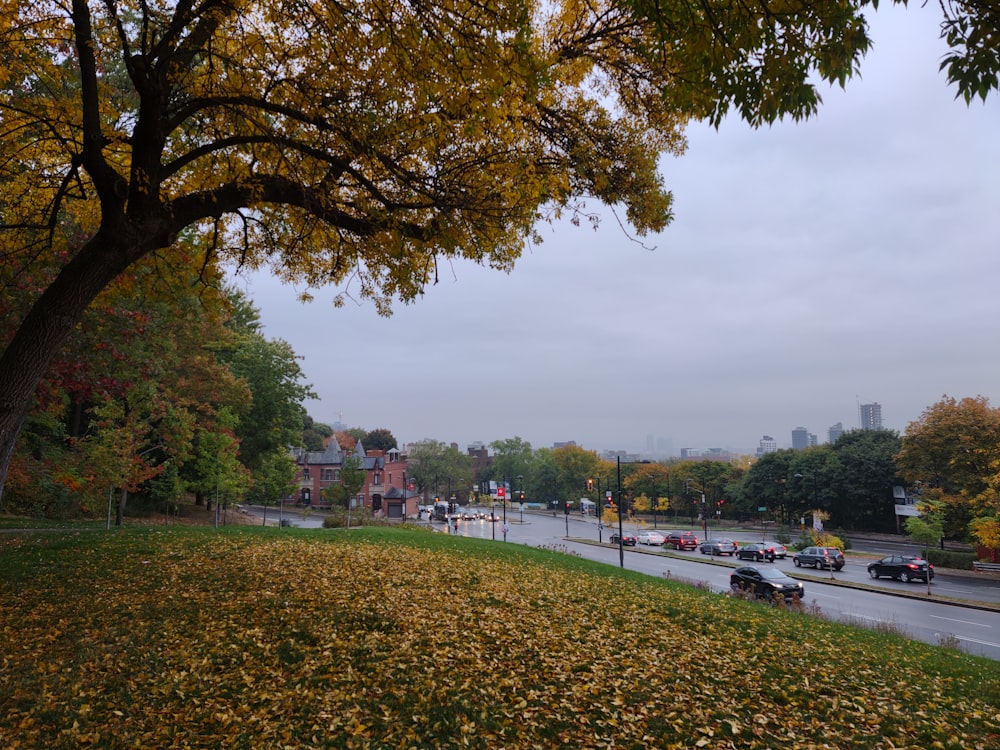 a view of a street with cars driving on it