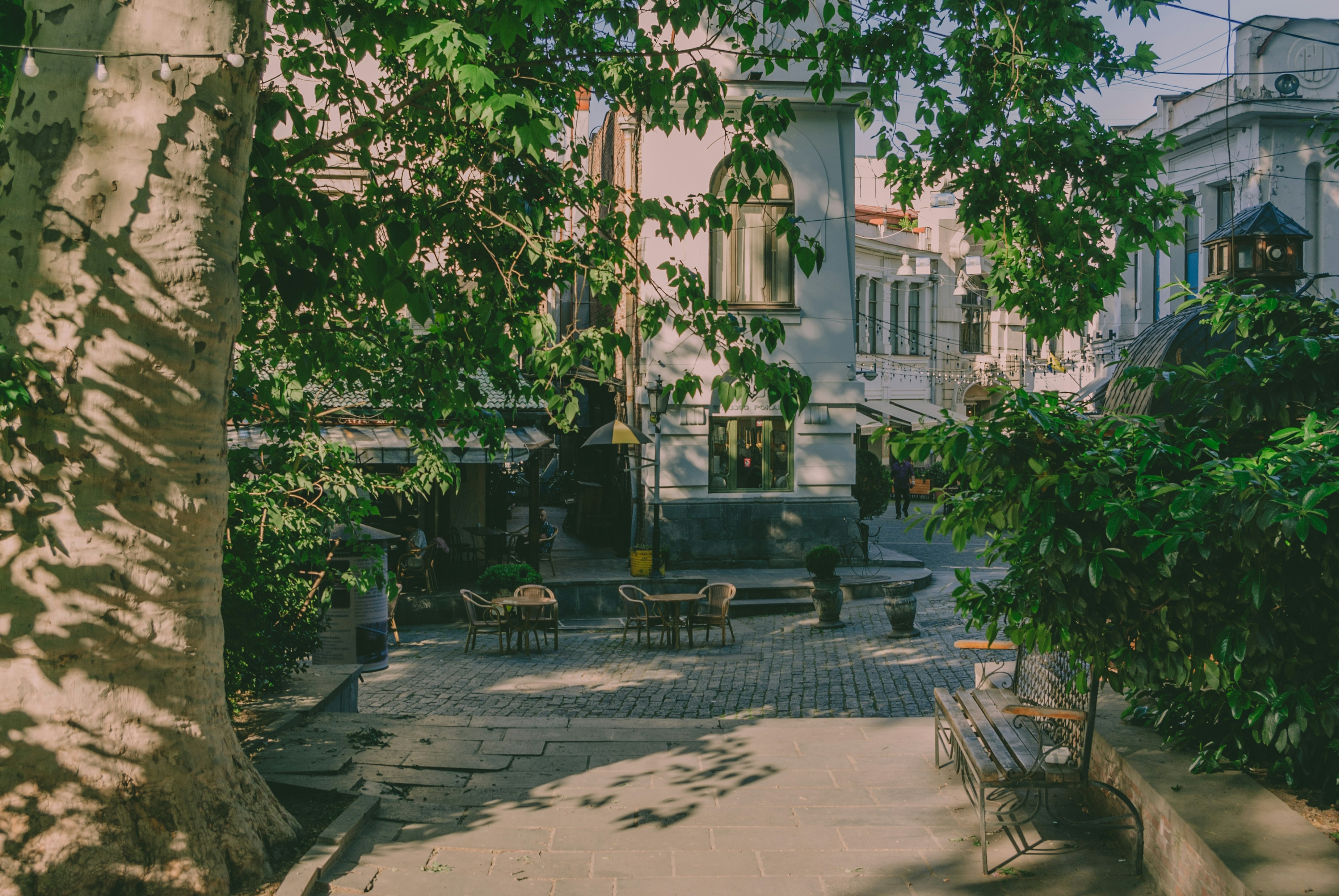 Photo by moonmoons_days