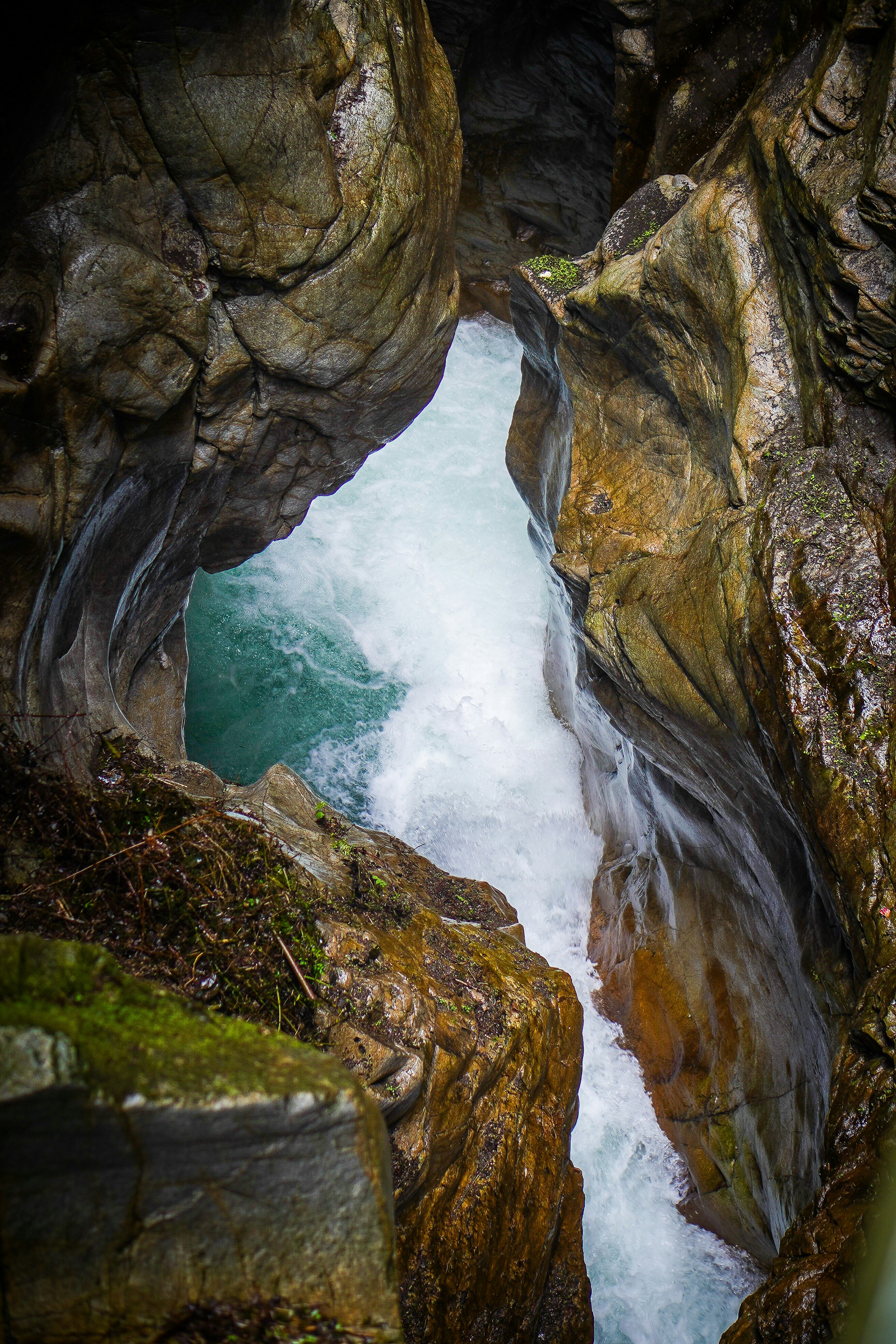 Photo by aivenieks