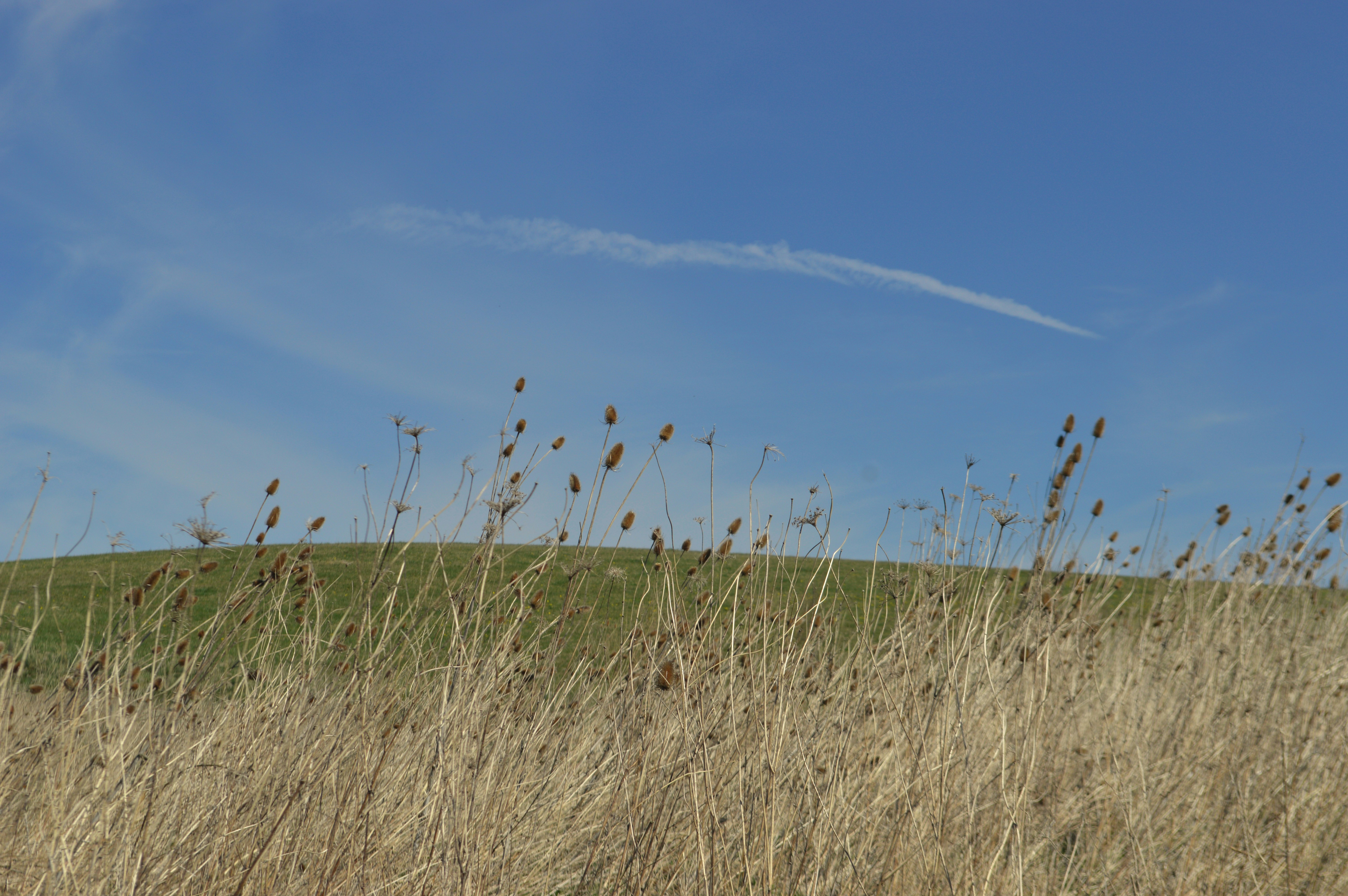 Photo by farahalmazouni