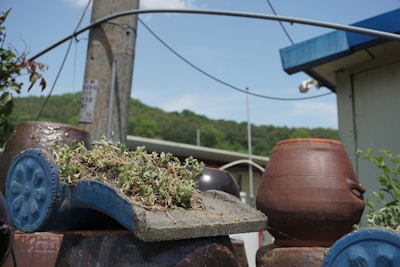 A collection of garden decor items arranged on a sky blue background.
