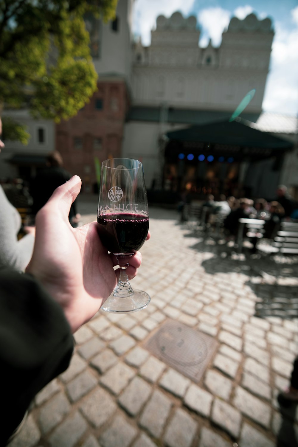 a person holding a glass of wine in their hand