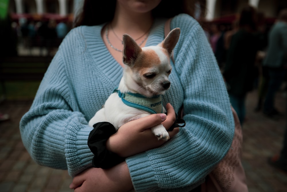 uma mulher segurando um cão pequeno em seus braços