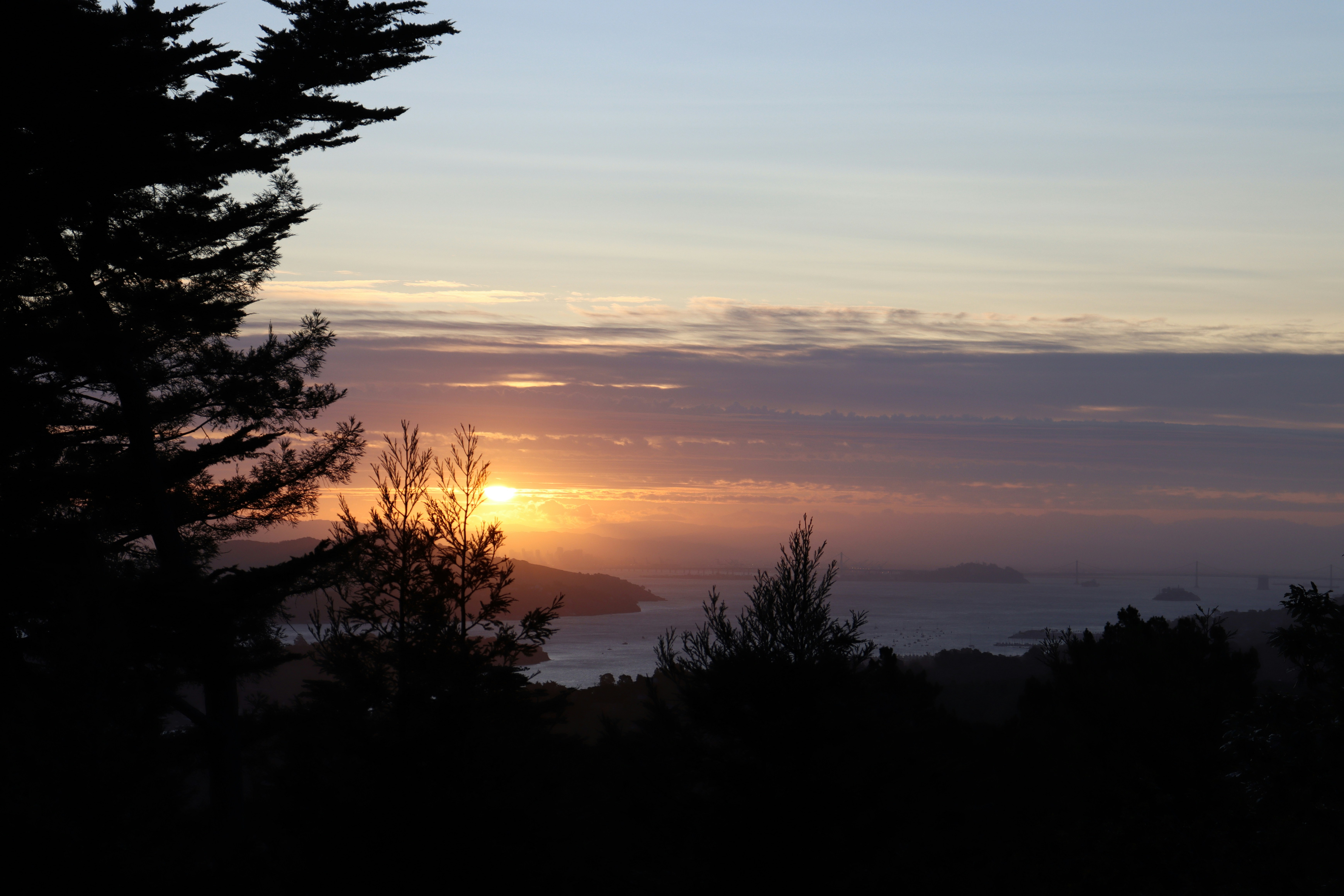 바다와 나무 위로 해가 지고 있다