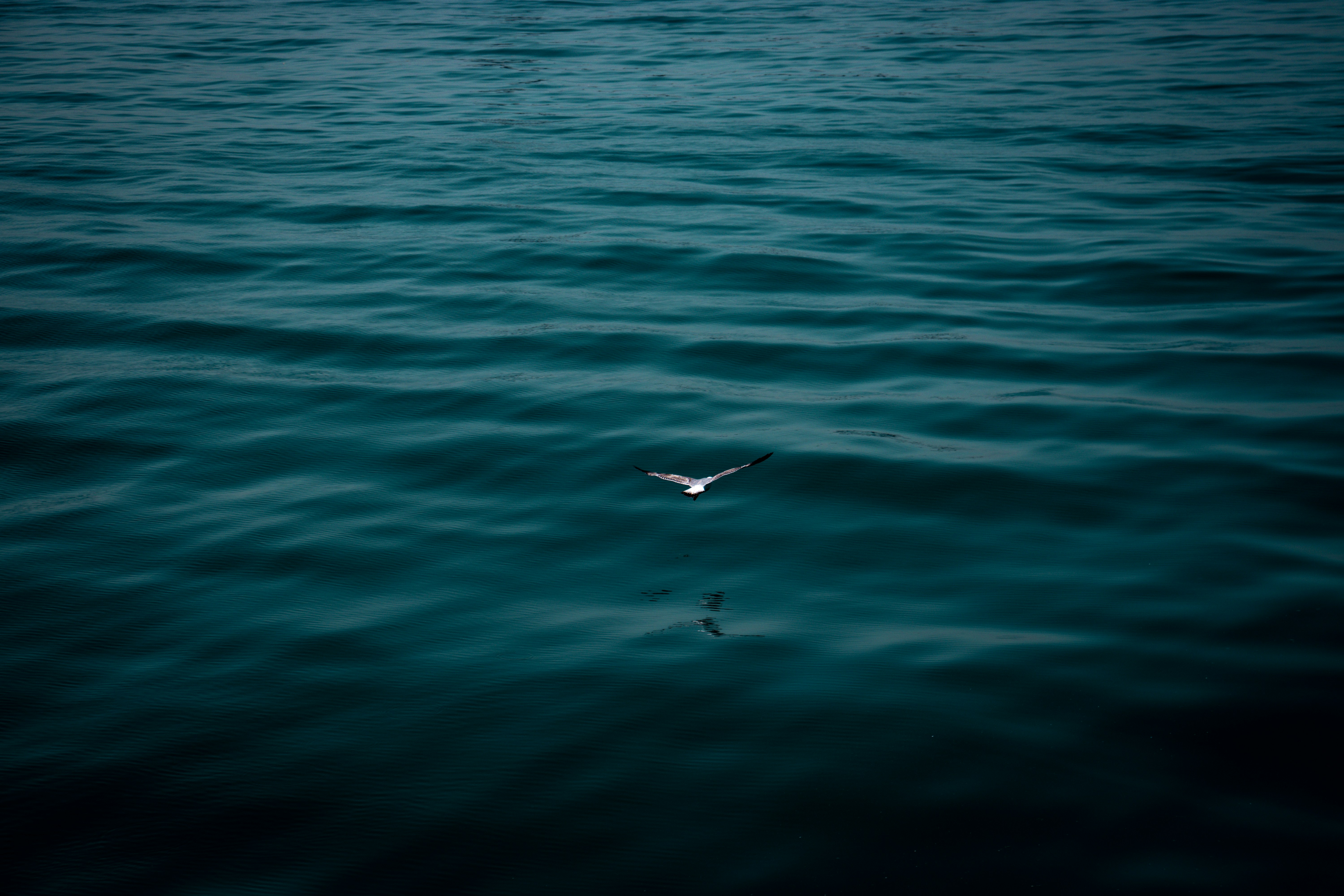 Photo by bemajid9596