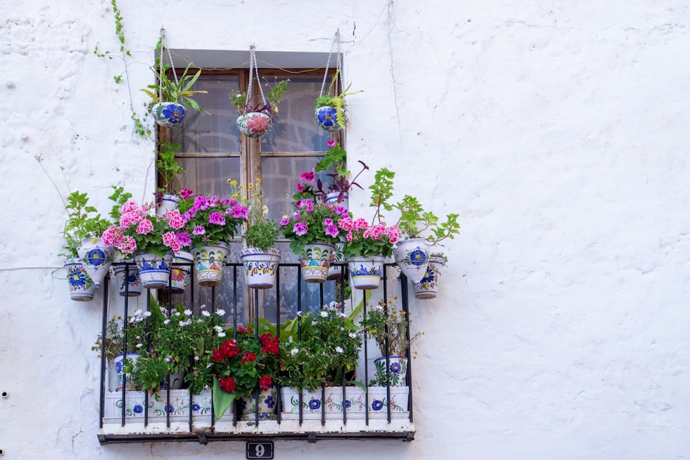 a window sill filled with potted plants and flowers