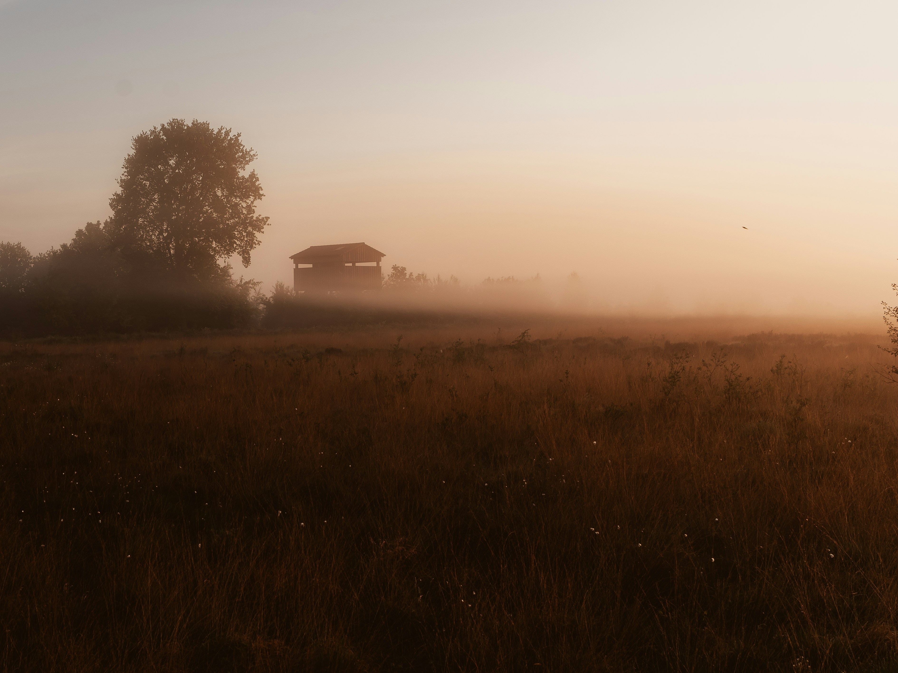 Photo by nicberlin