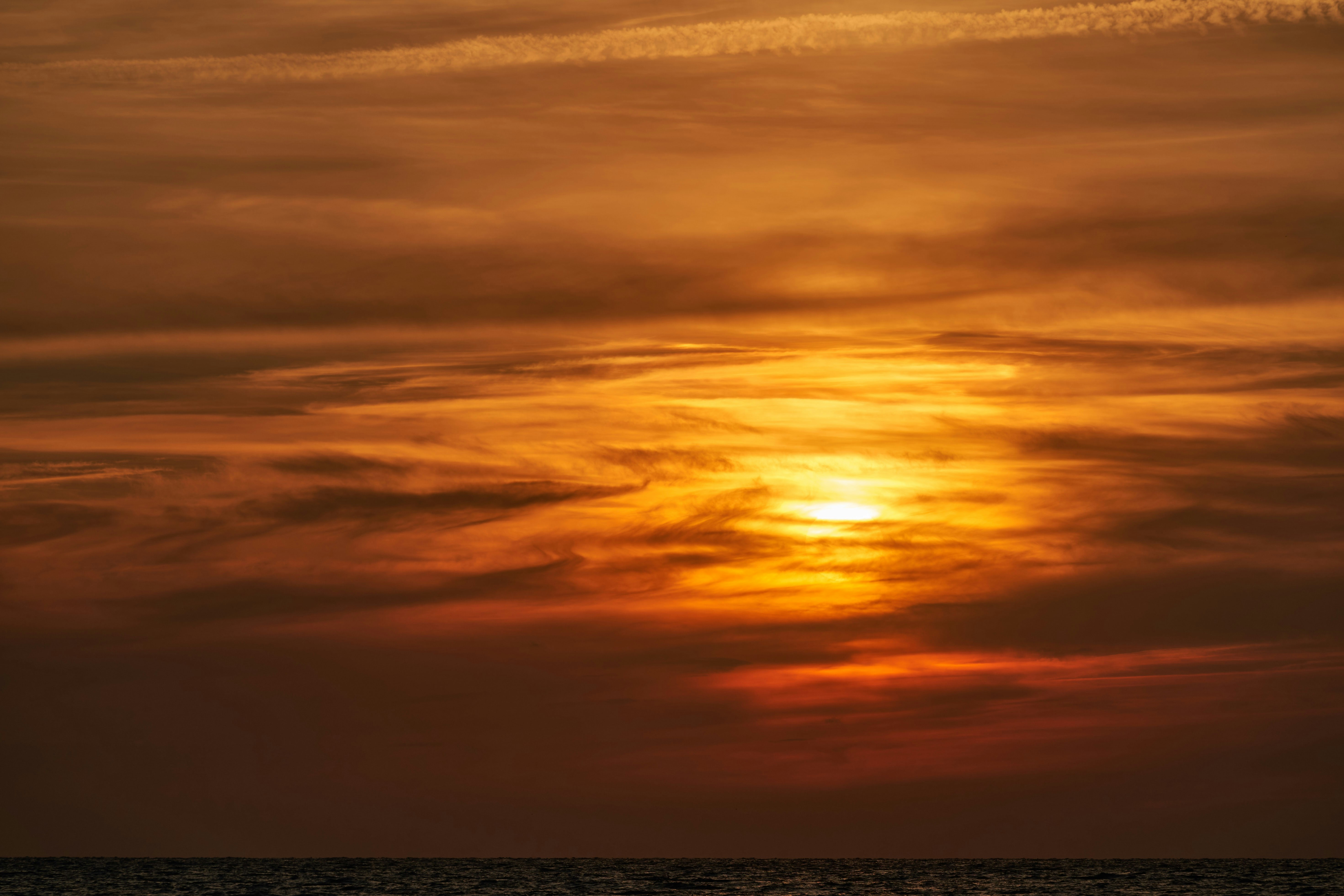 Photo by wolfgang_hasselmann