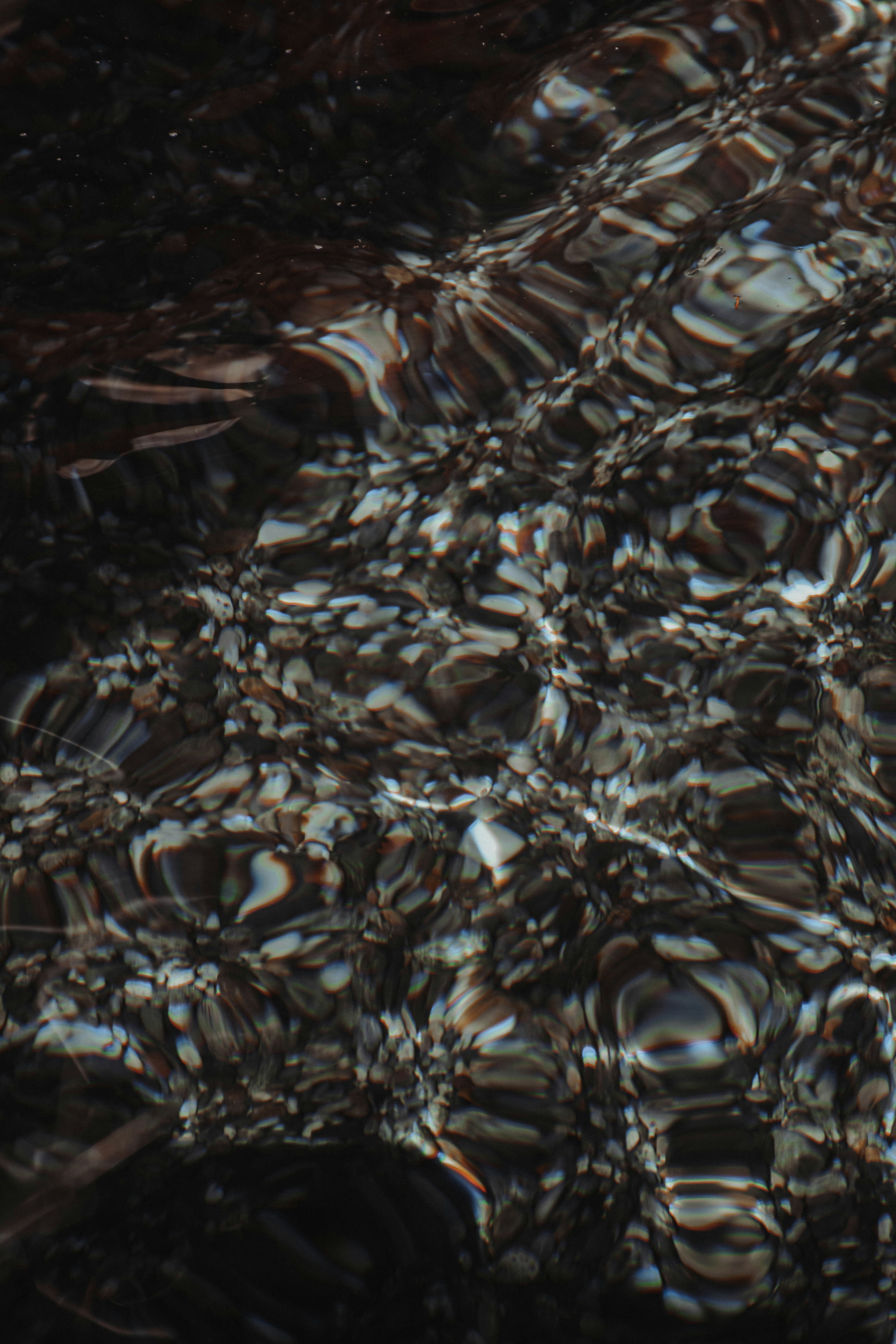 Photo by contentpixie