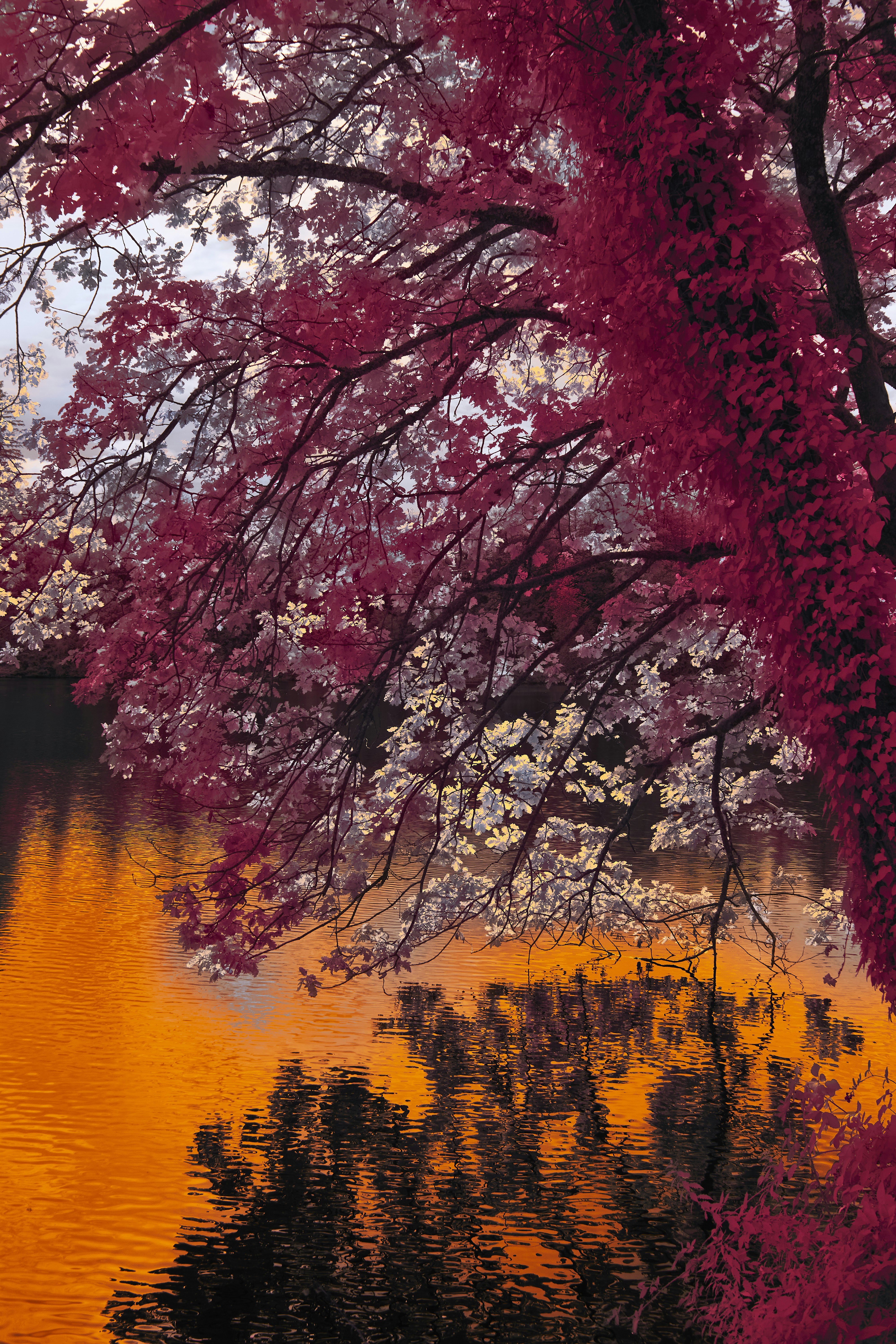 Photo by wolfgang_hasselmann