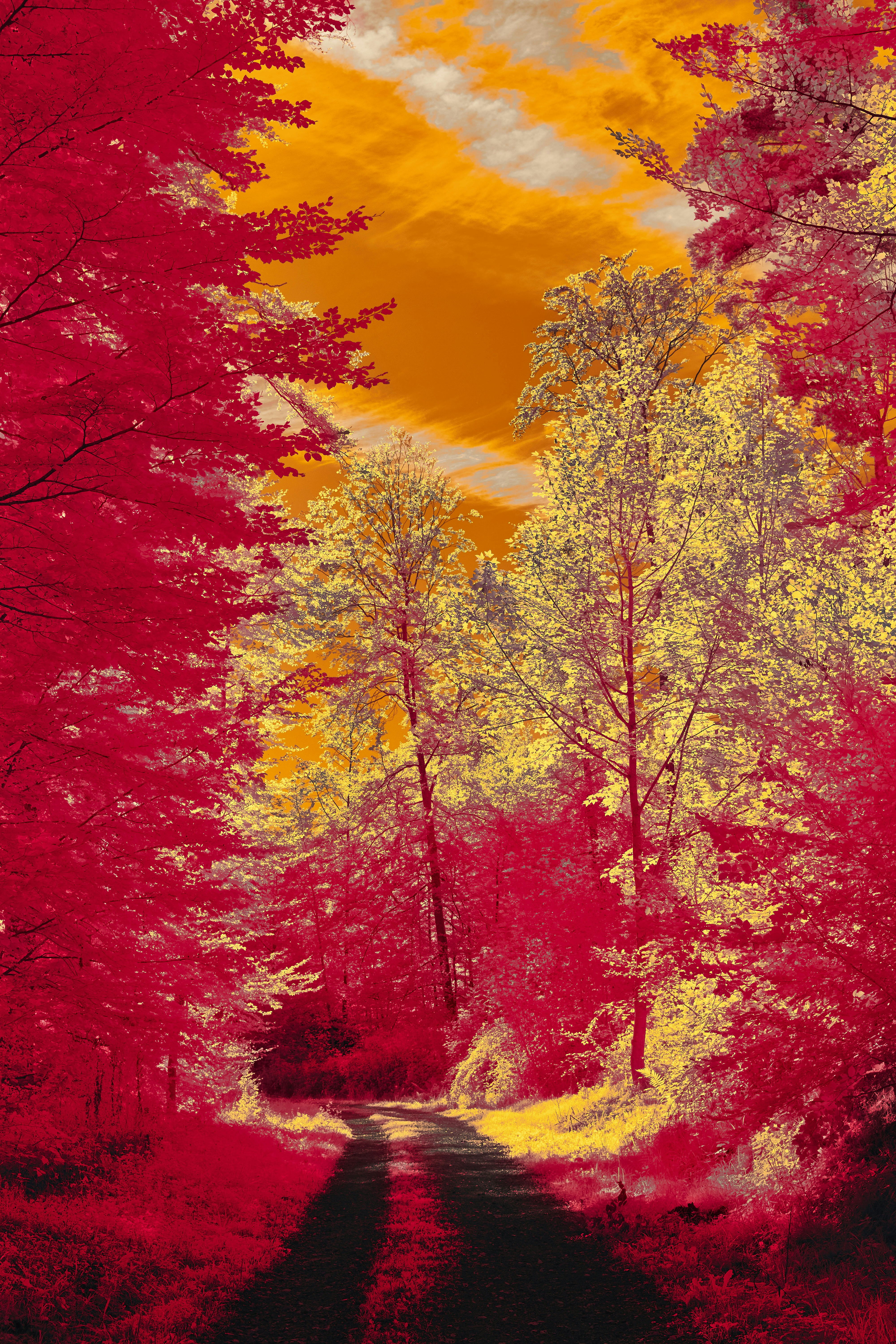 Photo by wolfgang_hasselmann