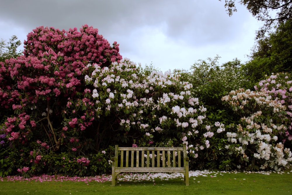 a wooden bench sitting in front of a bush of flowers