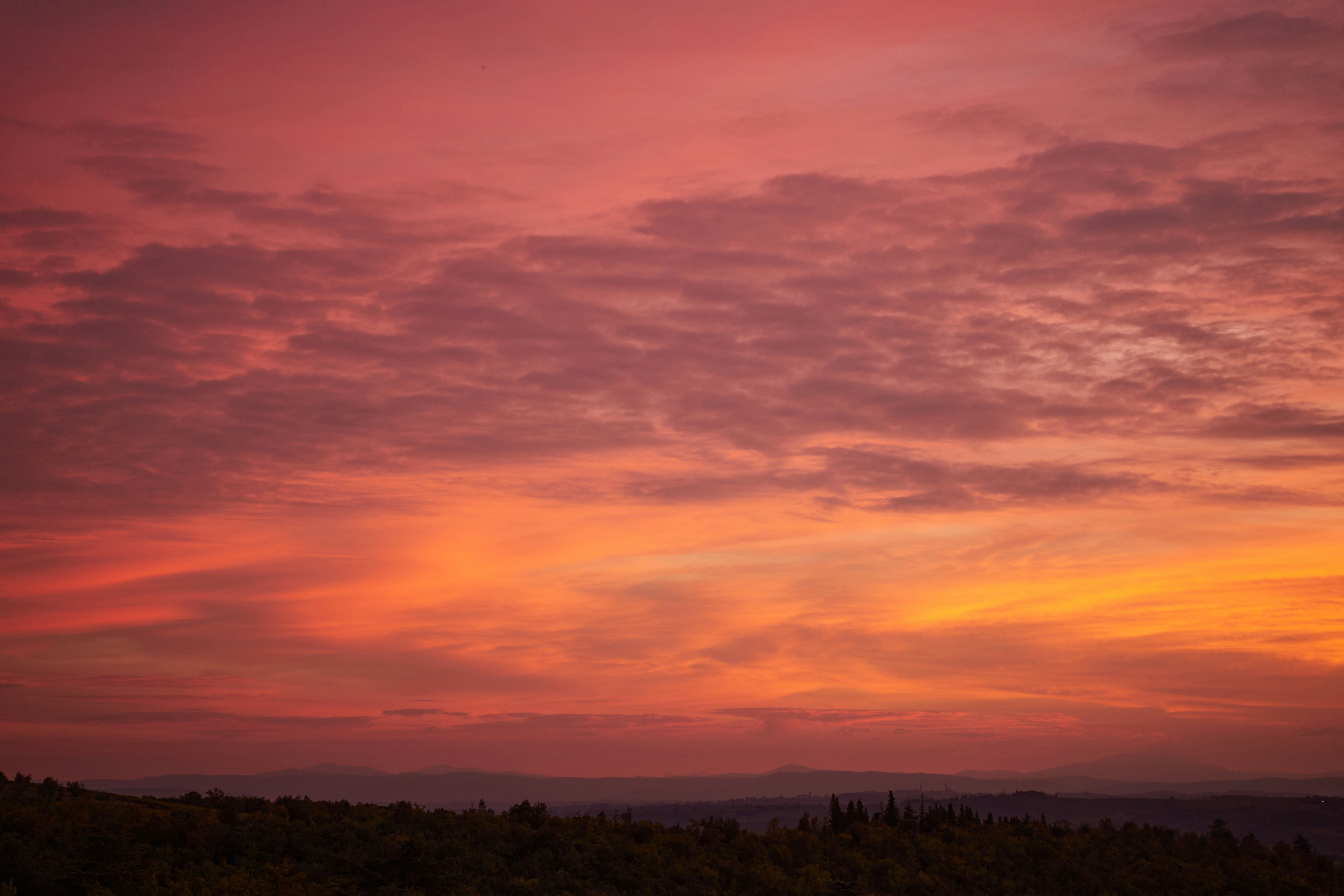 Photo by wolfgang_hasselmann