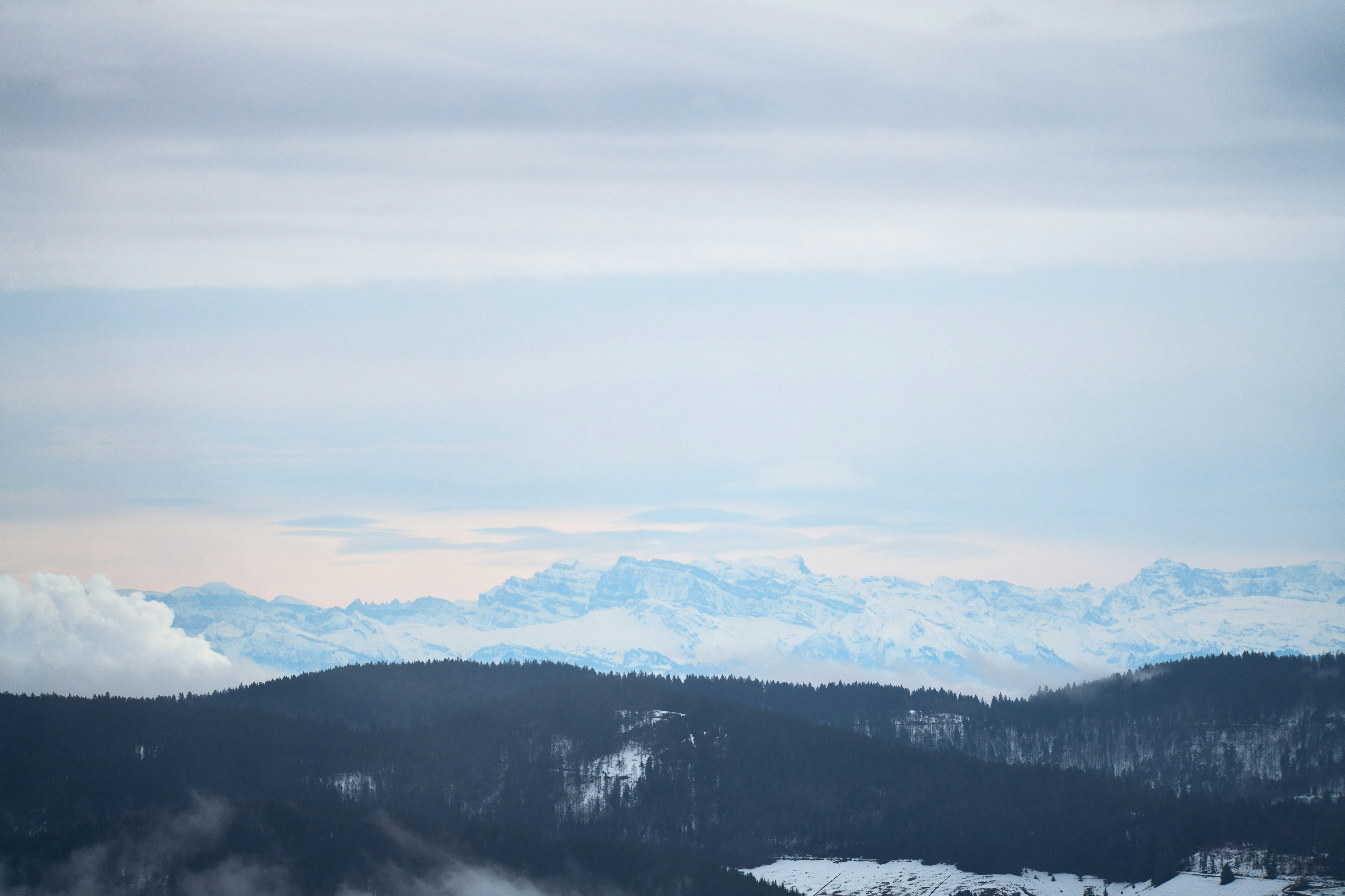 Photo by wolfgang_hasselmann