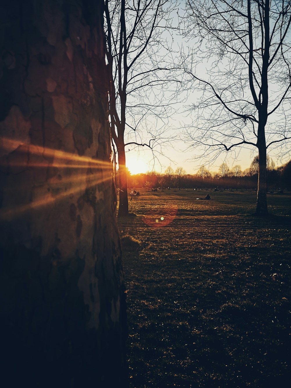 the sun is shining through the trees in the park