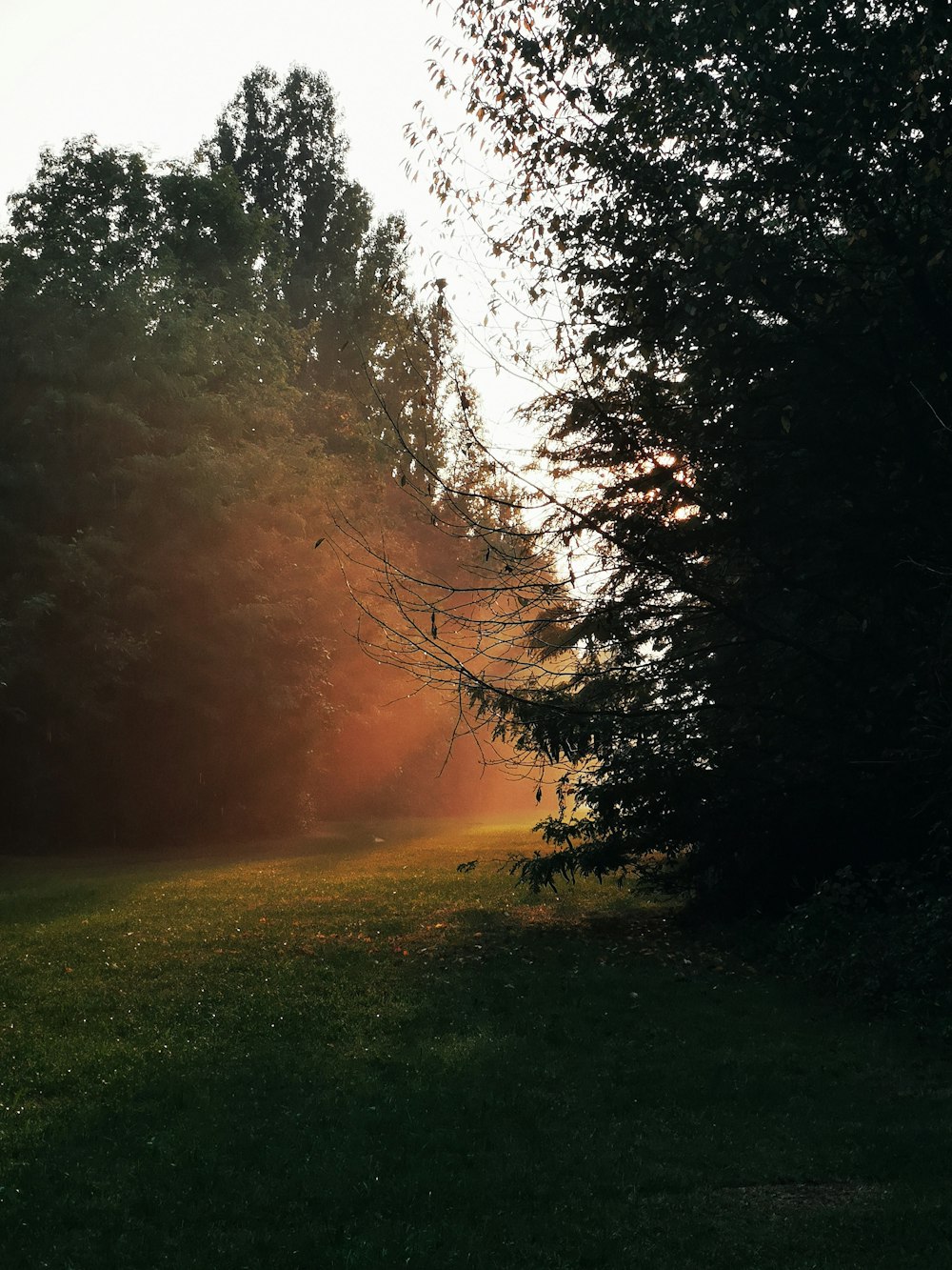 the sun is shining through the trees in the park