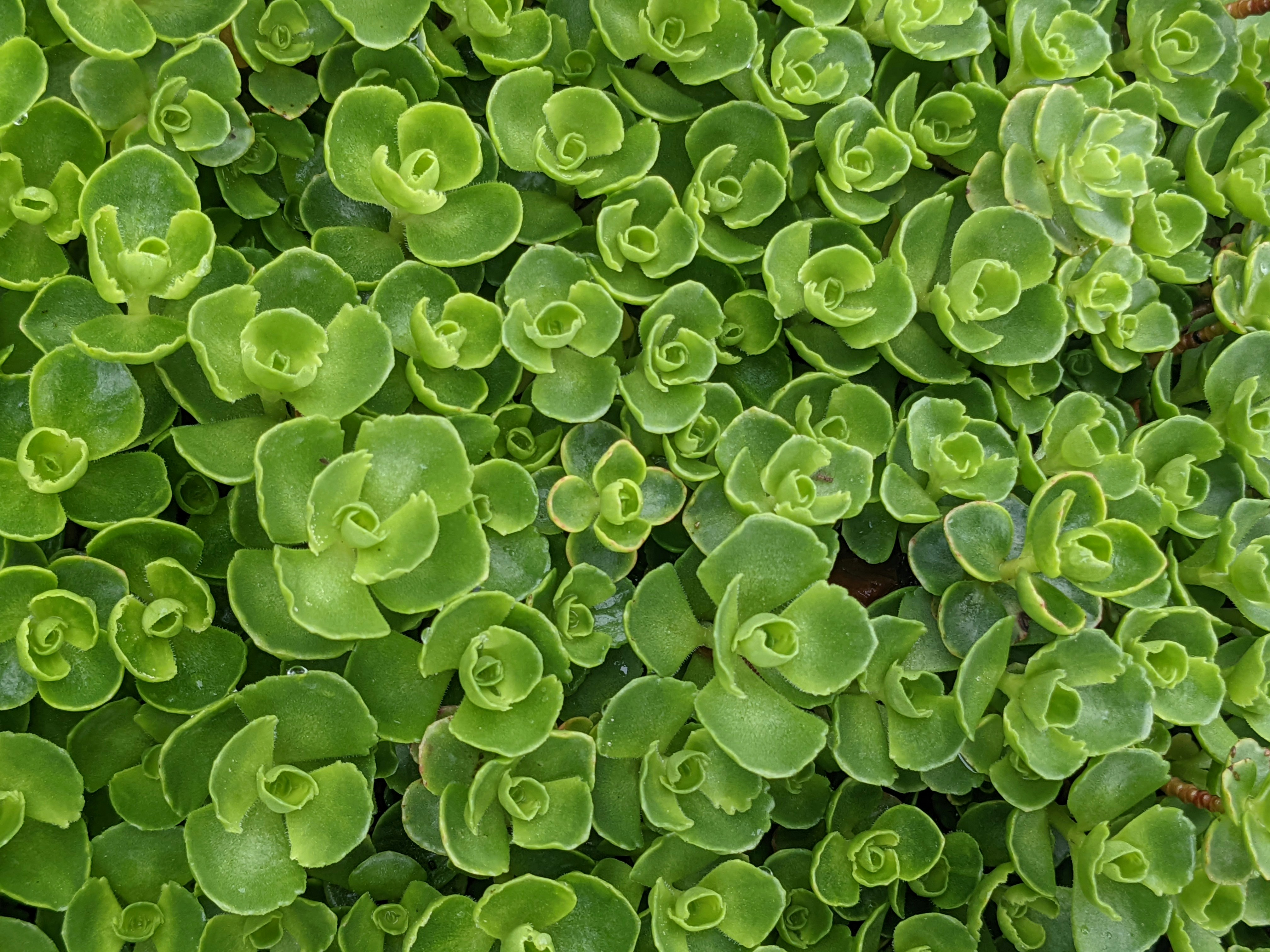 Photo by custom_project