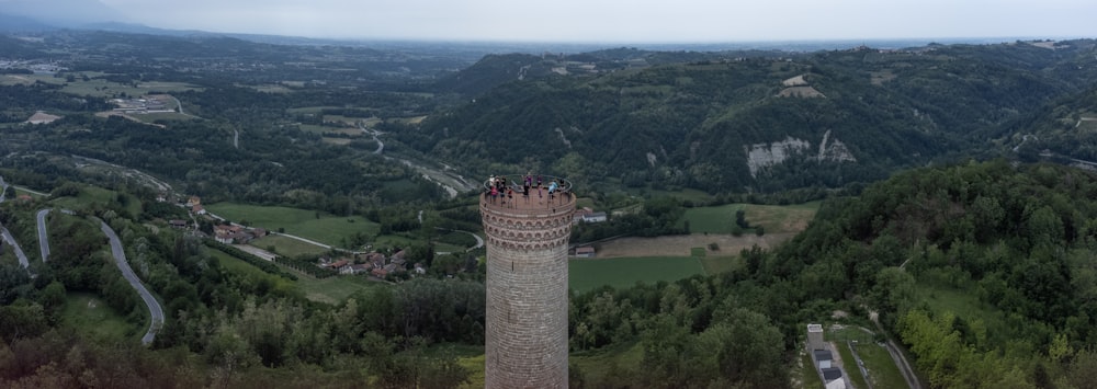 Une haute tour assise au milieu d’une forêt verdoyante