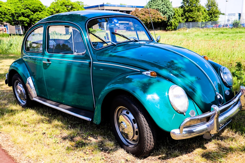 a blue beetle parked in a grassy field