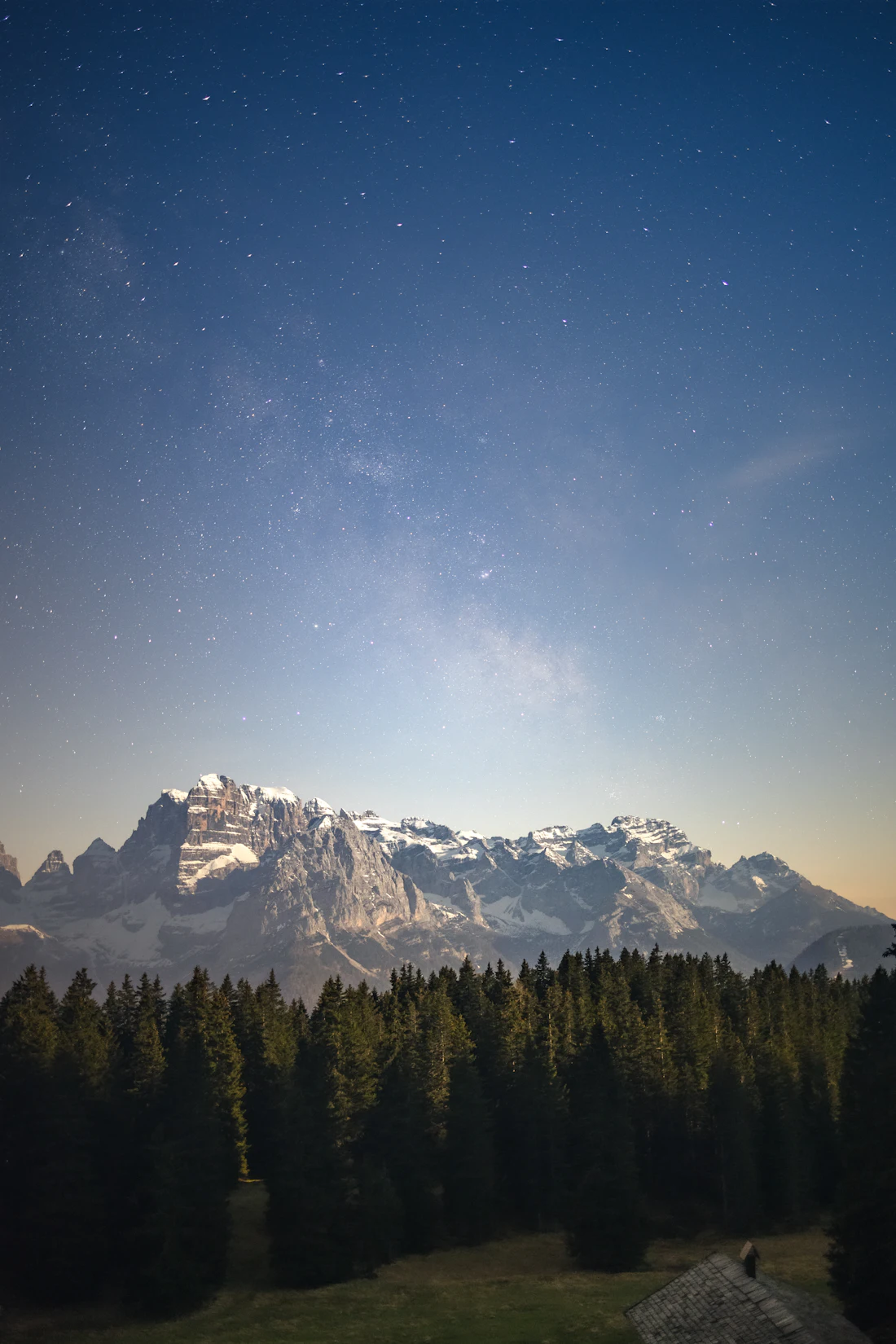 Bergen en naaldbossen rond Madonna di Campiglio (zomeropname)