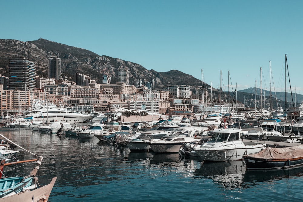 a harbor filled with lots of boats next to a city