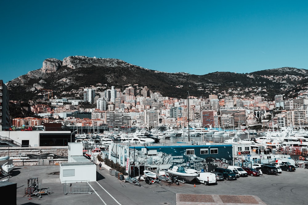 a marina with a lot of boats and buildings in the background