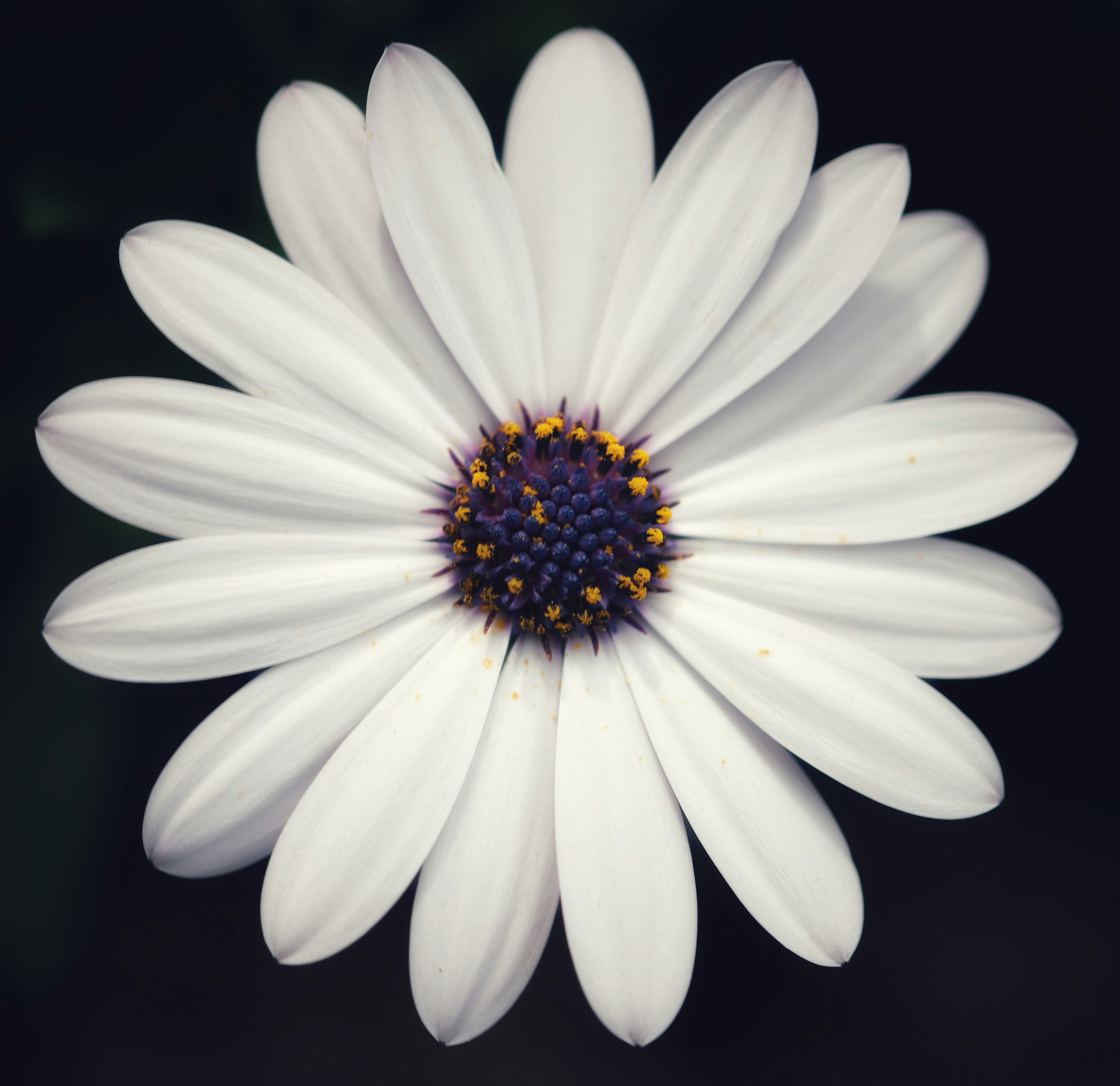 Photo by hdbernd