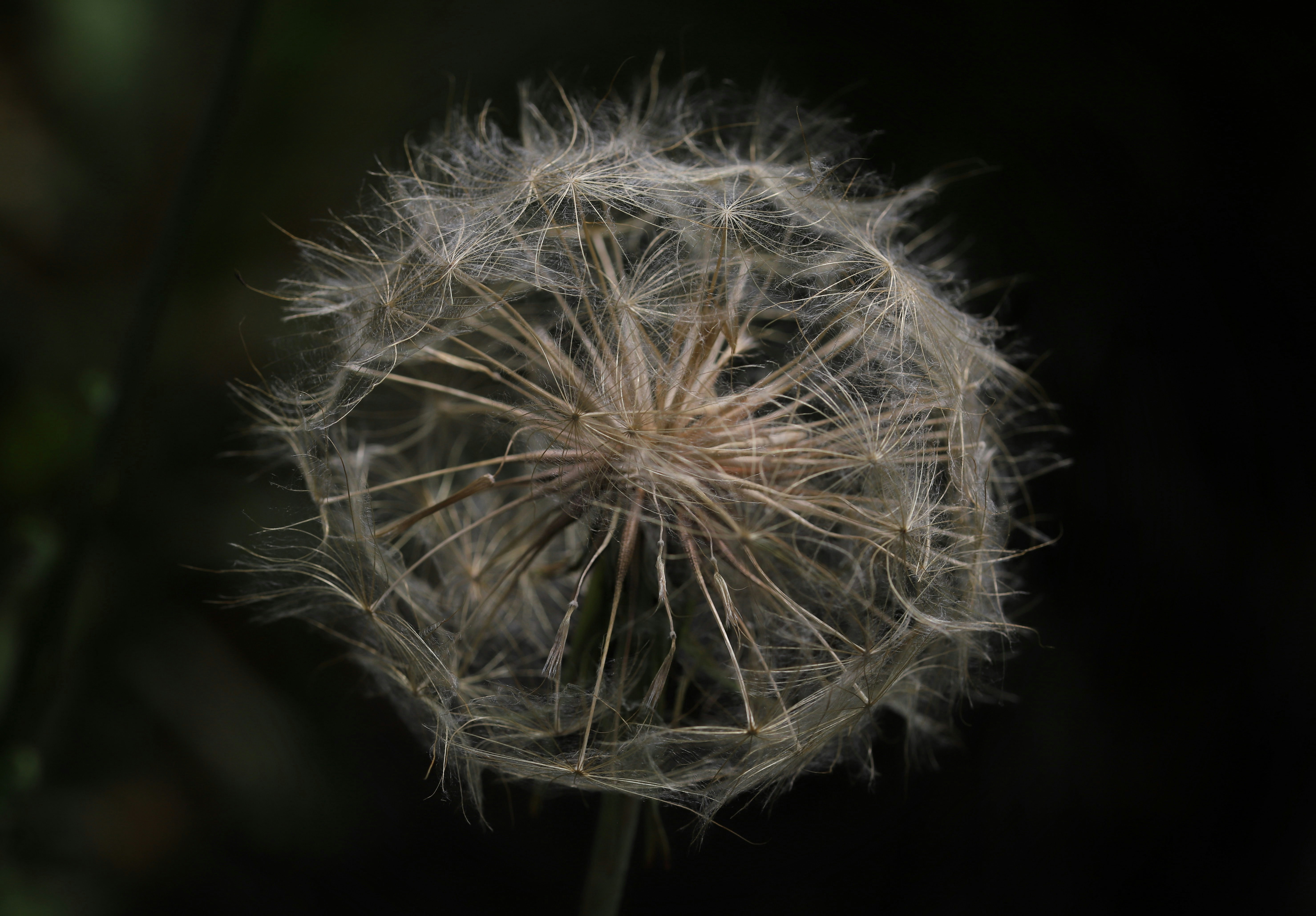 Photo by hdbernd