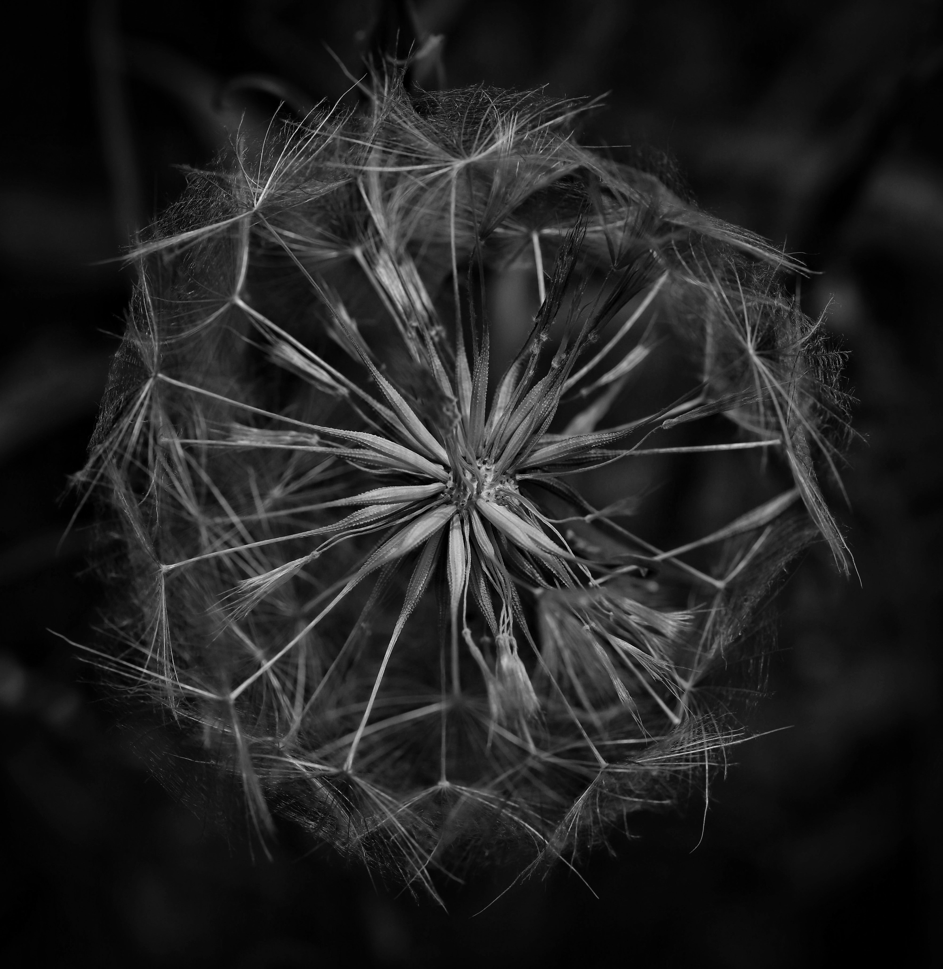 Photo by hdbernd