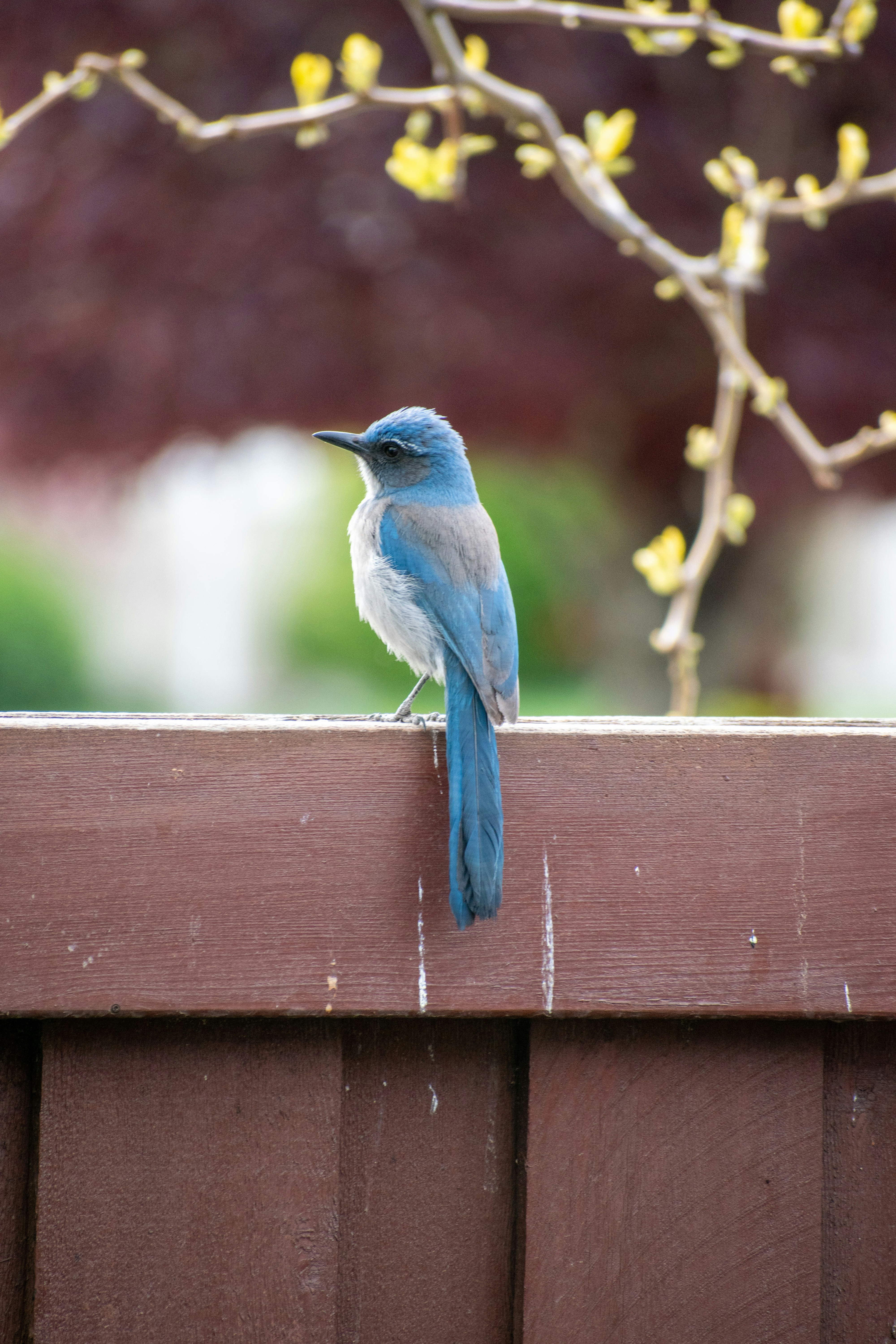 Photo by judd_nichols