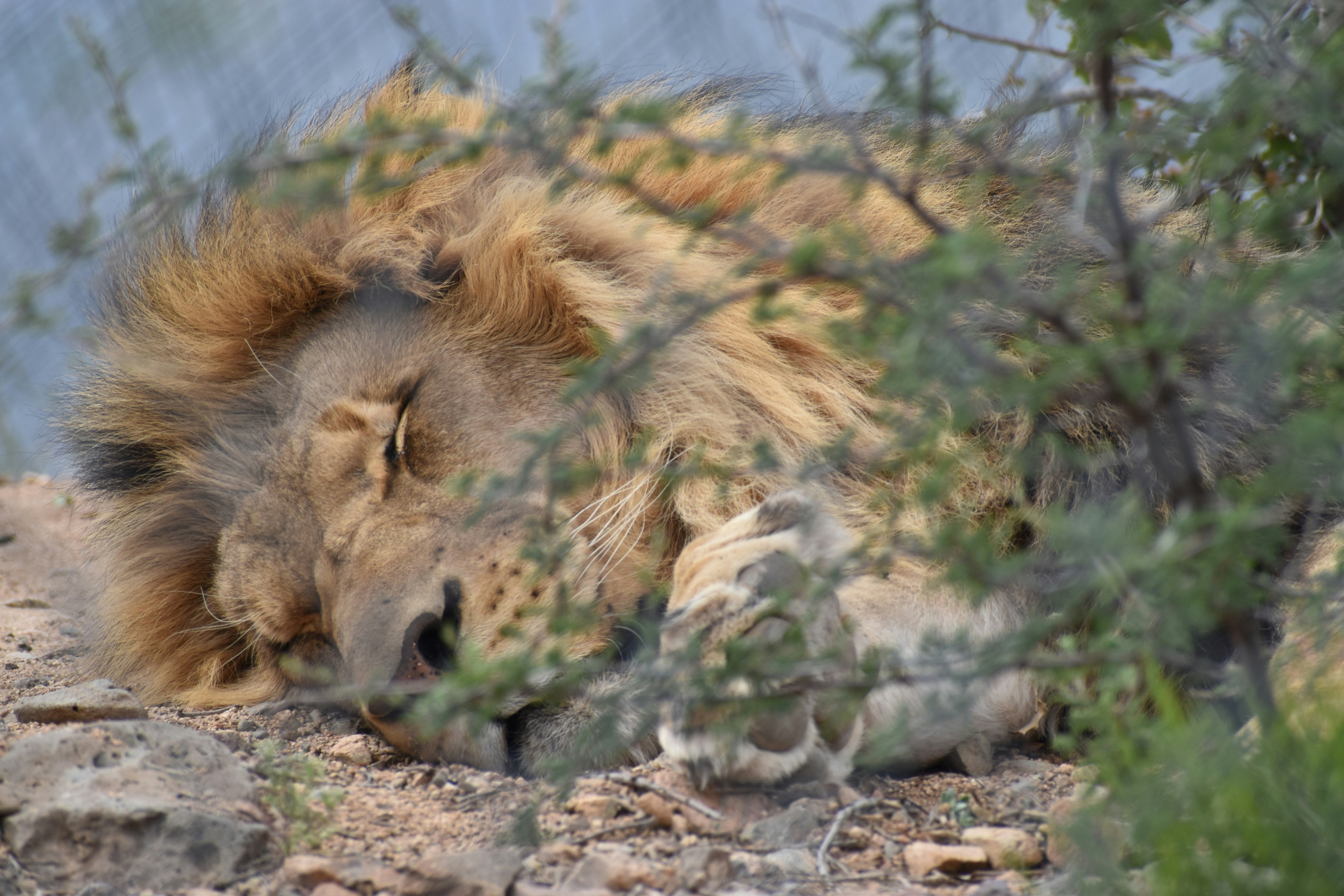 Photo by nothingnewphotos