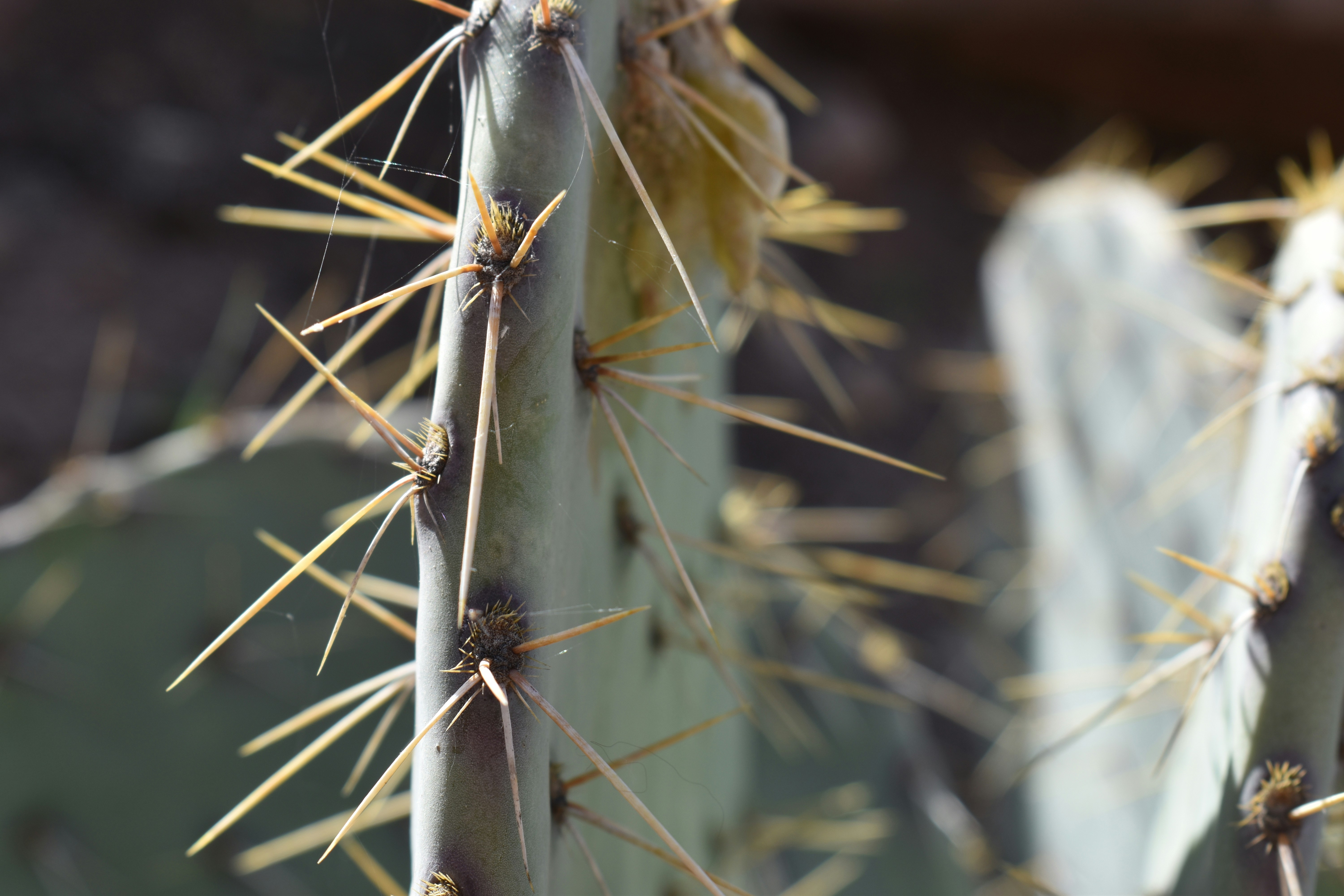 Photo by nothingnewphotos