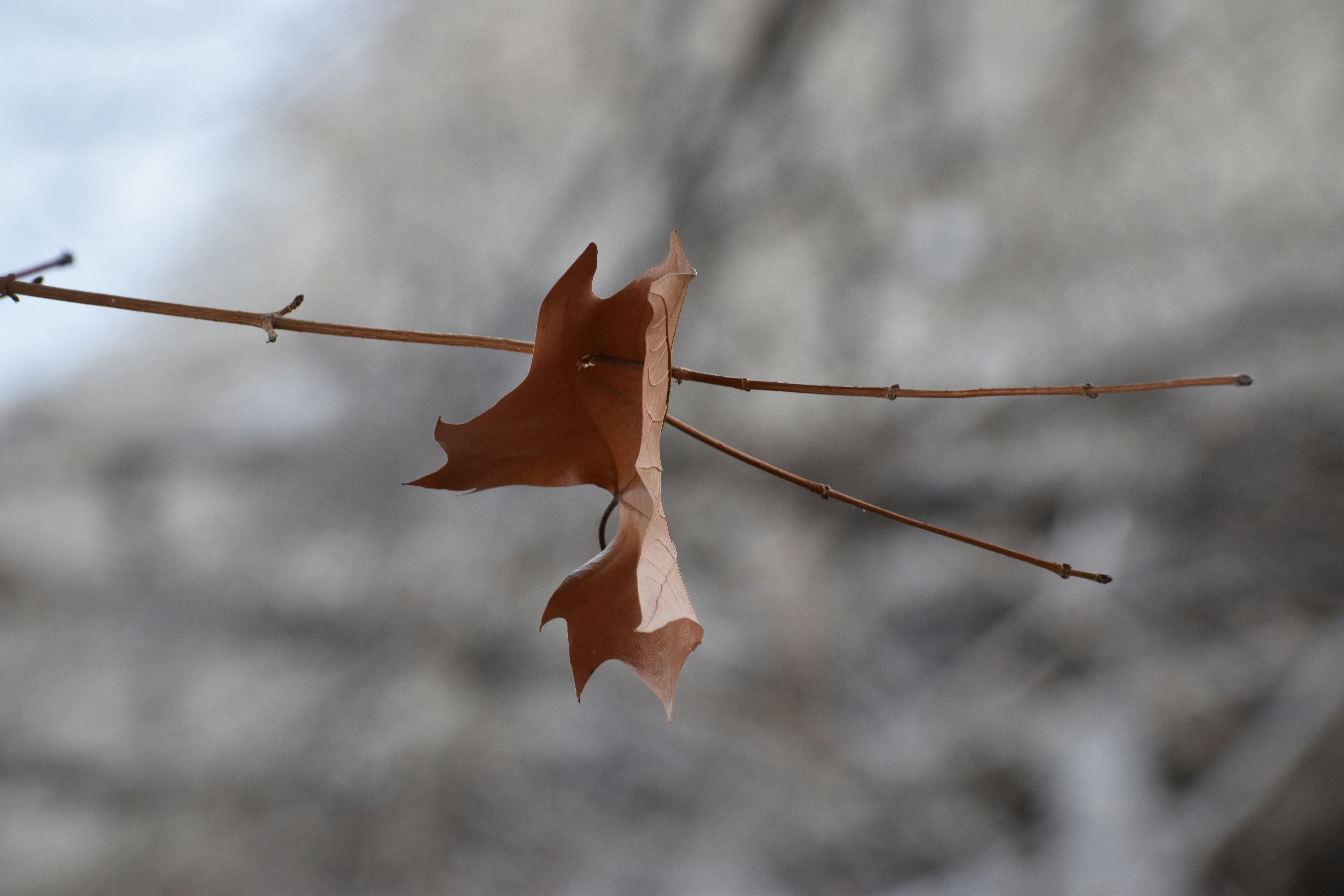 Photo by nothingnewphotos