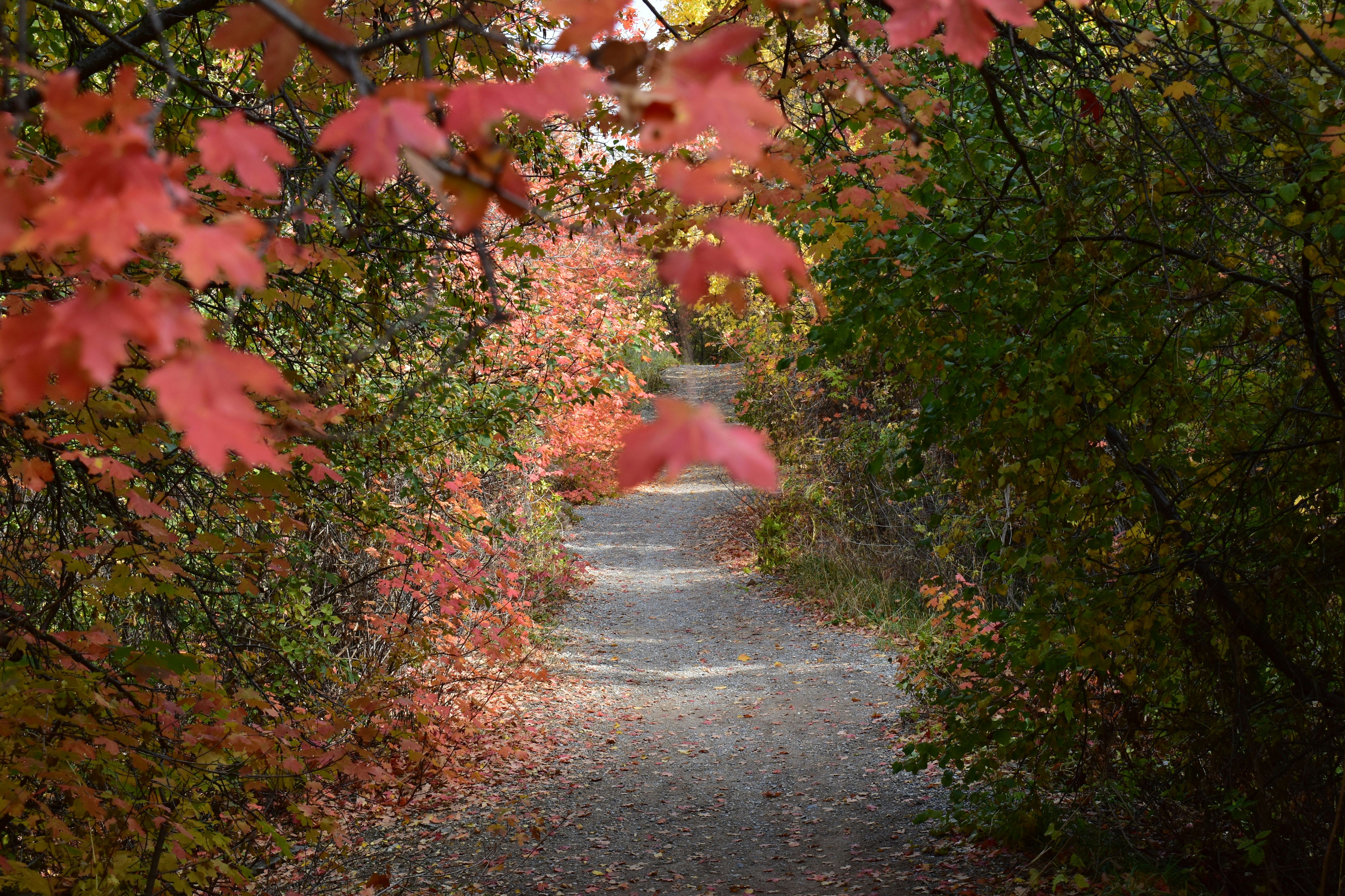 Photo by nothingnewphotos