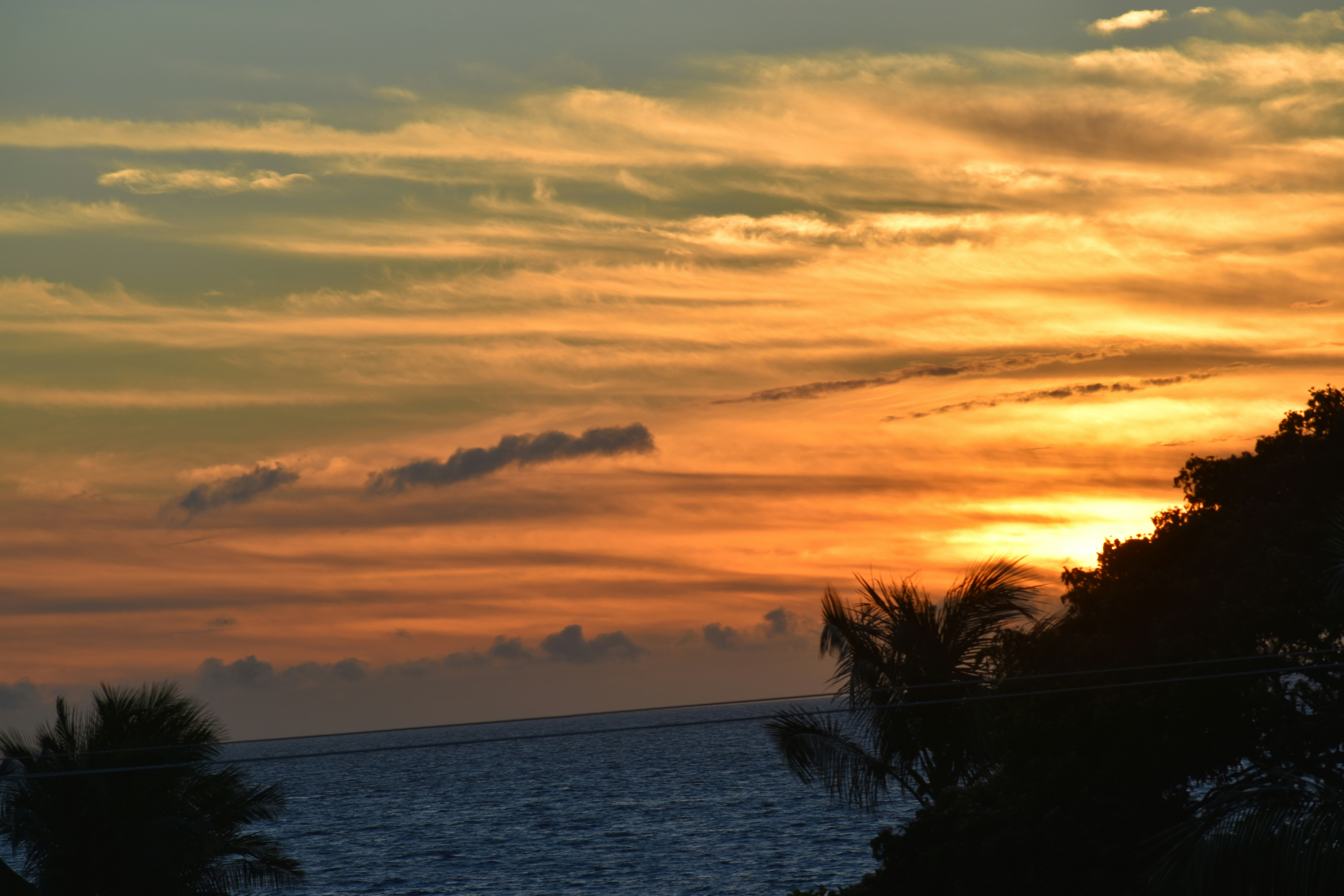 Photo by nothingnewphotos