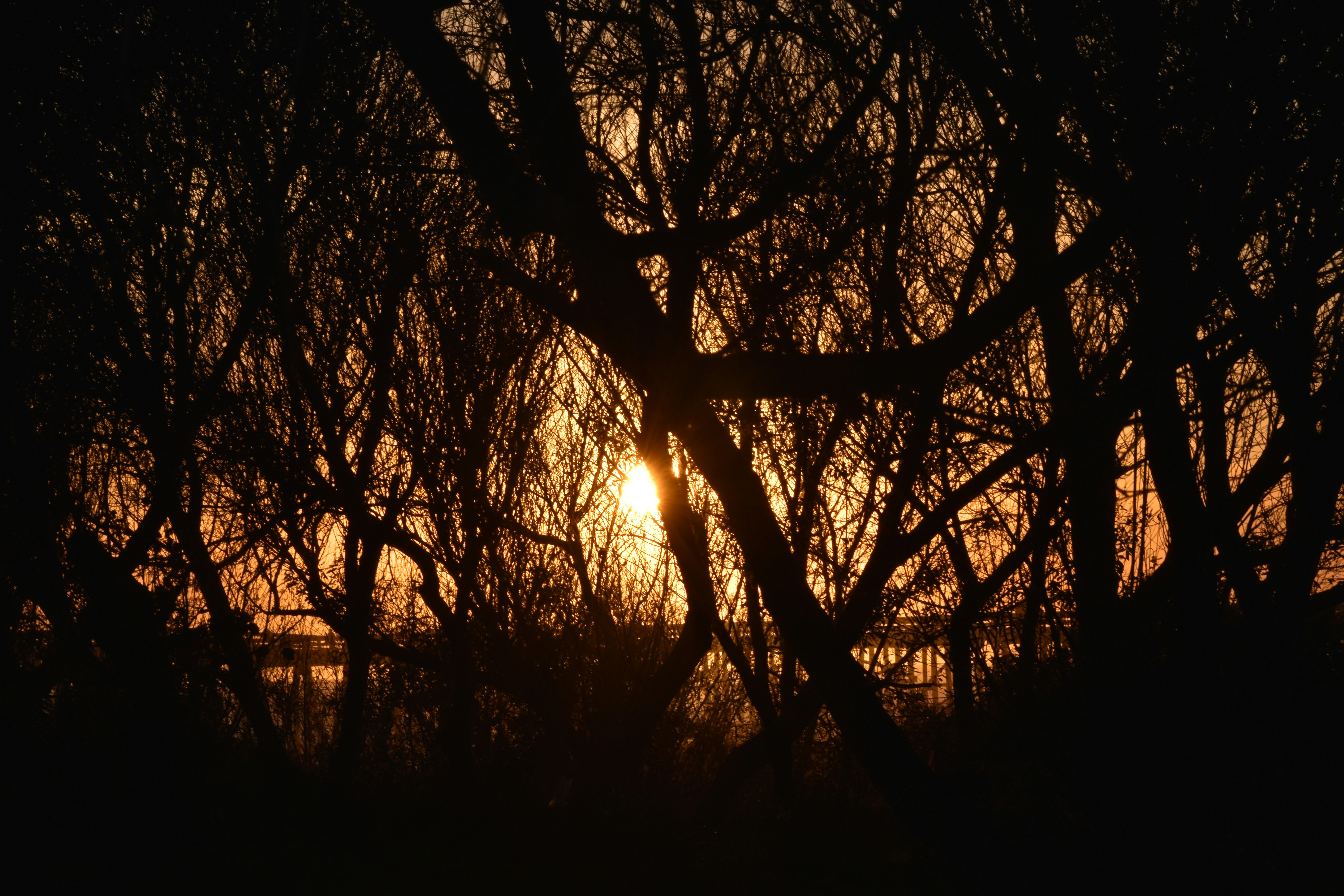 Photo by nothingnewphotos