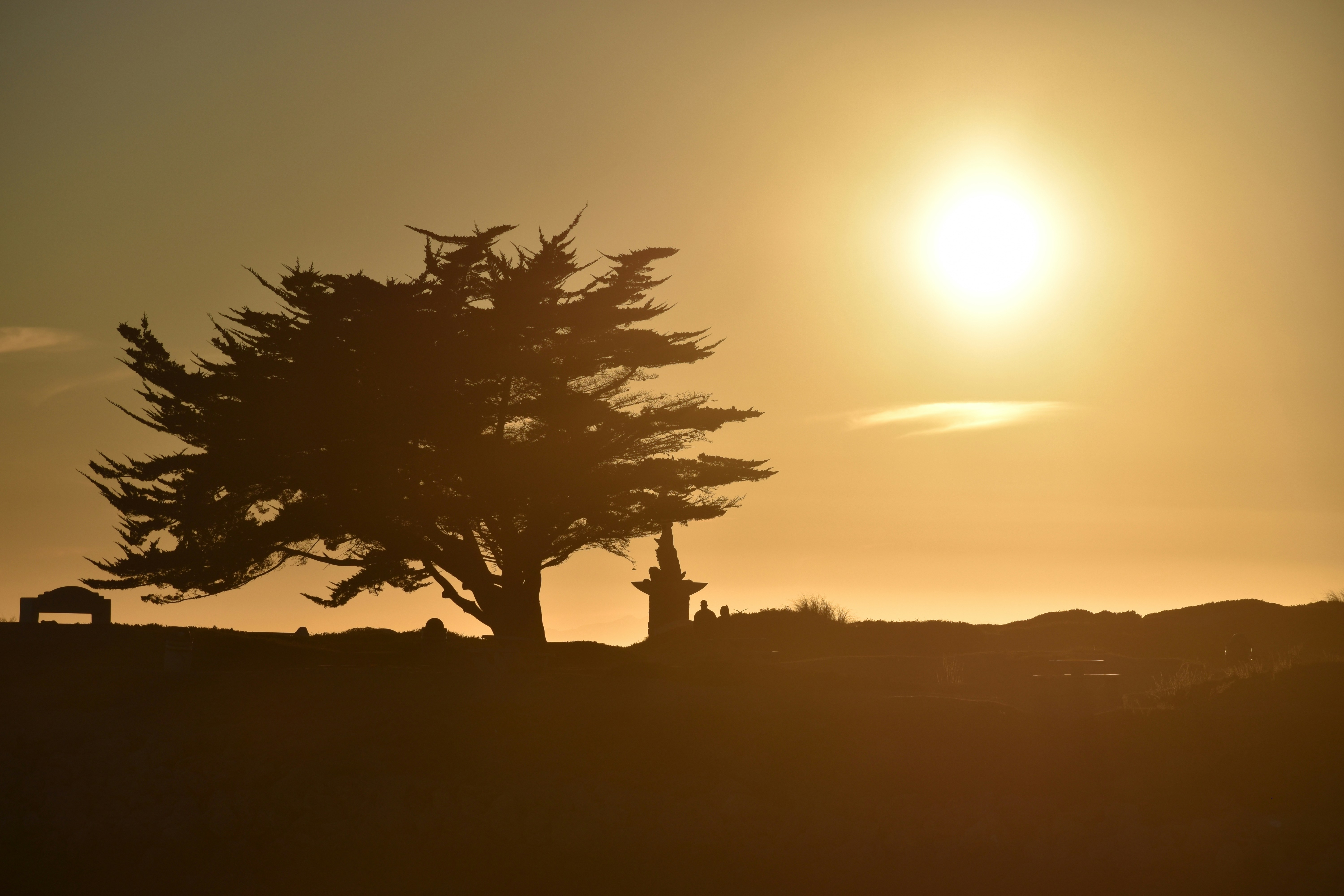 Photo by nothingnewphotos