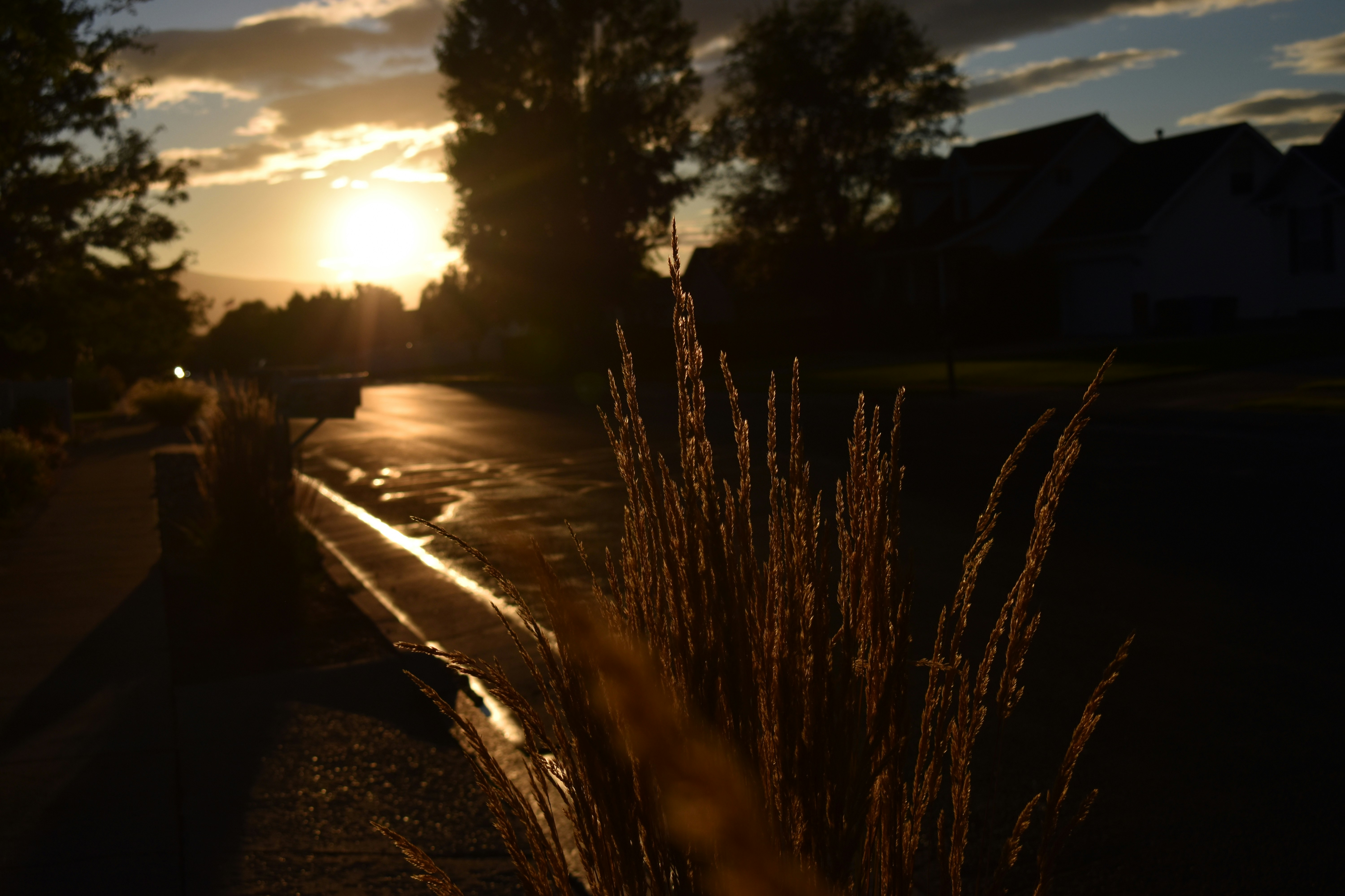 the sun is setting over a neighborhood street