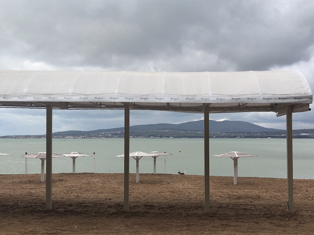 Una hilera de sombrillas blancas sentadas en la cima de una playa de arena