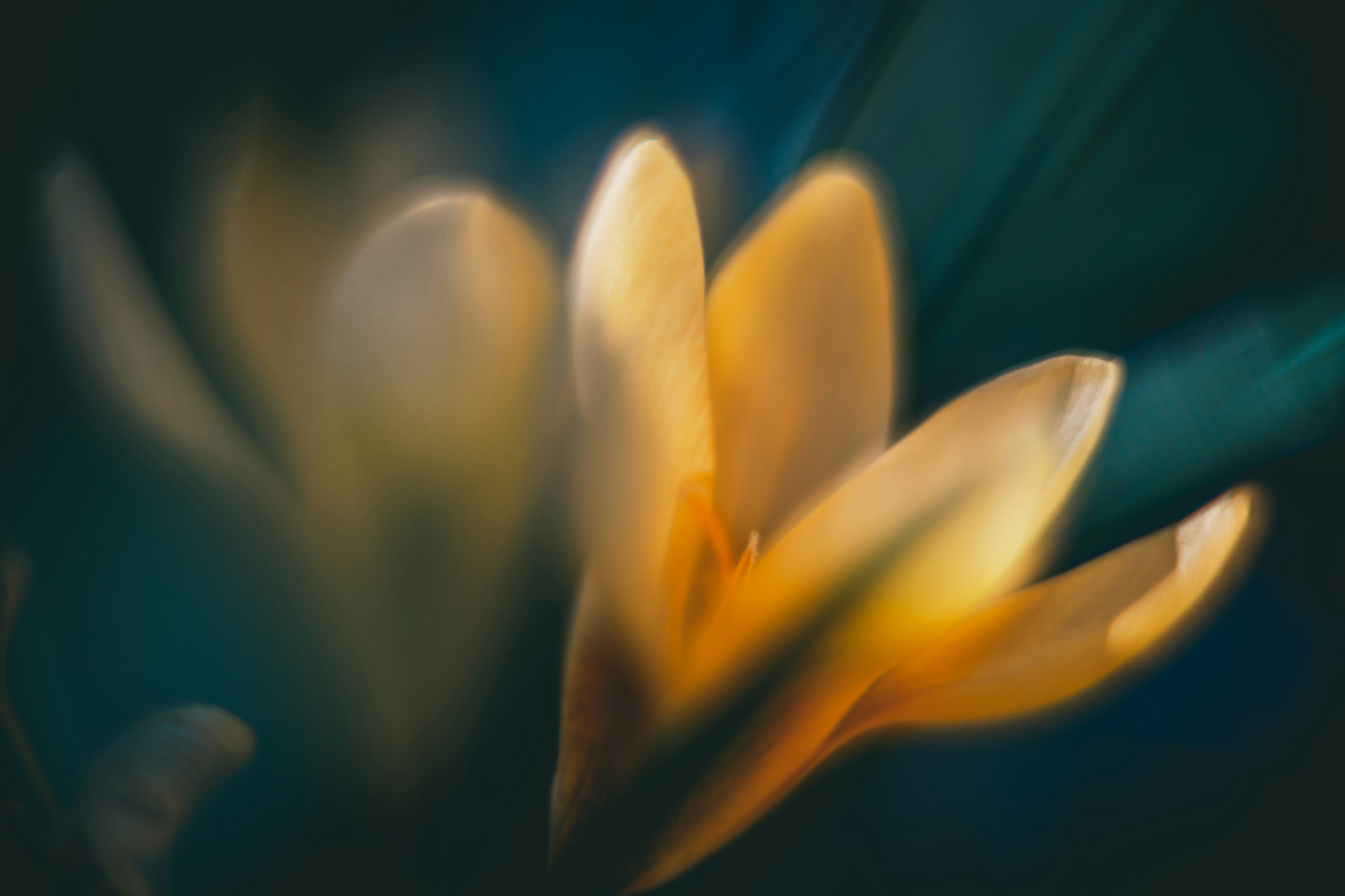 Photo by raimondklavins