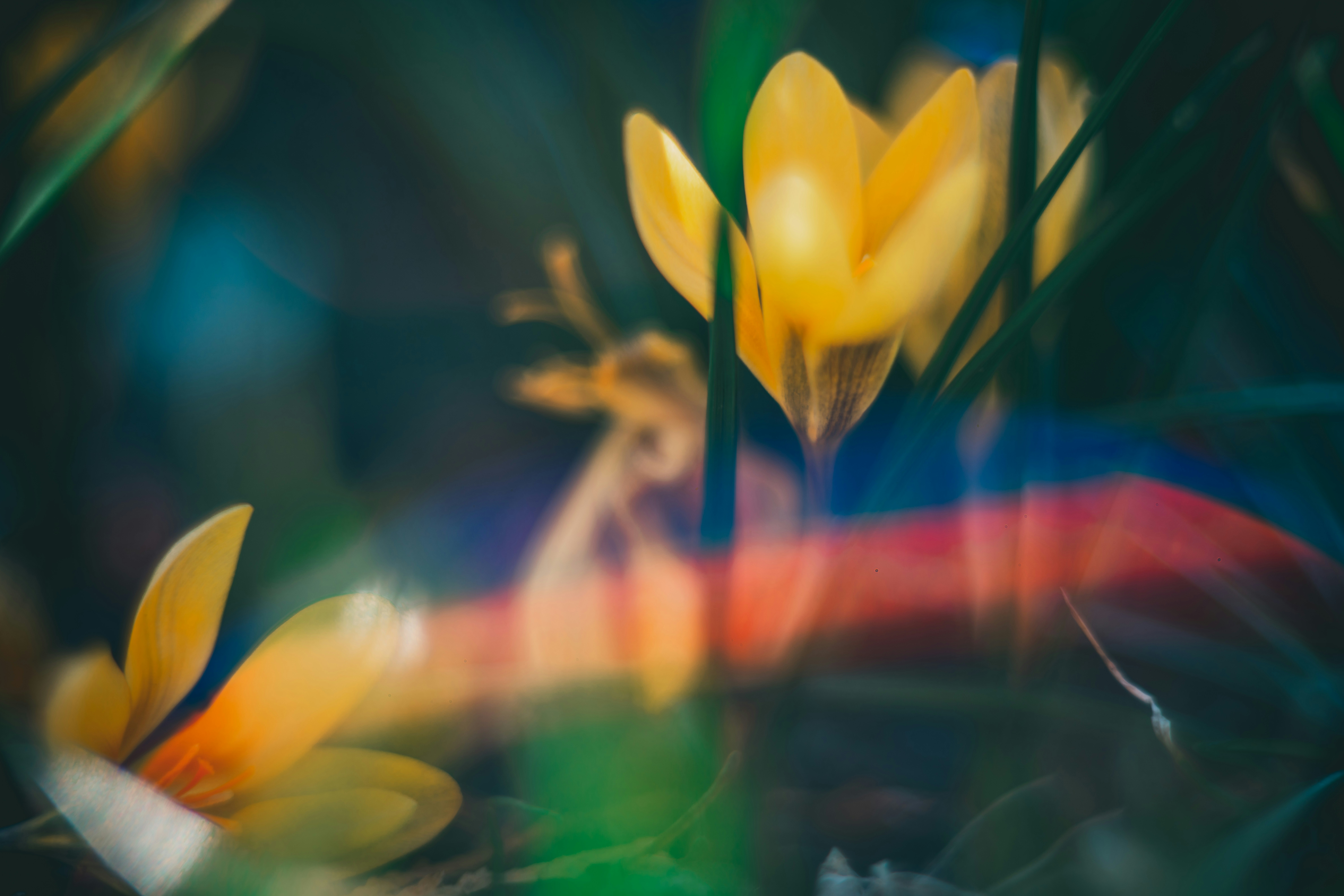 Photo by raimondklavins