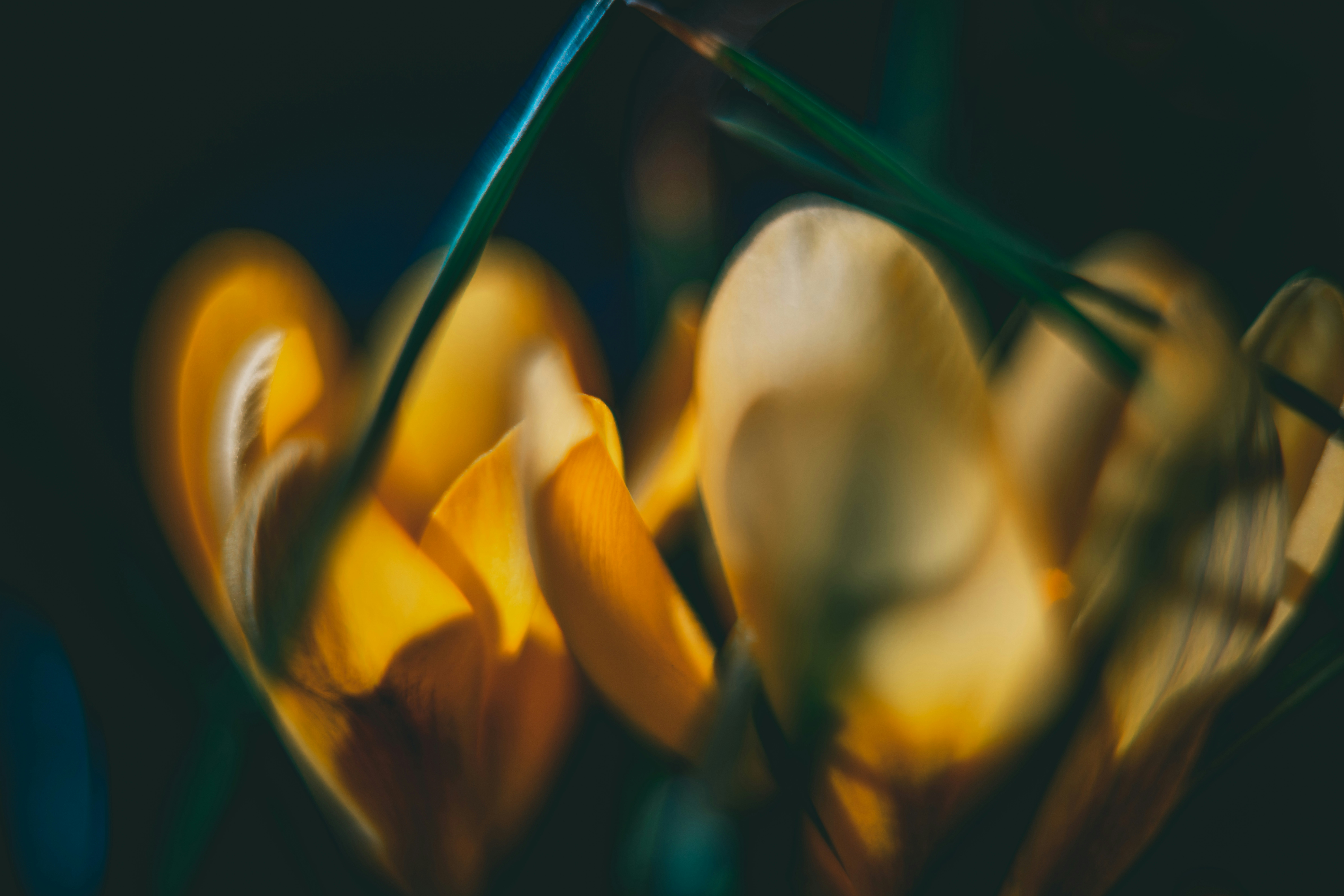 Photo by raimondklavins