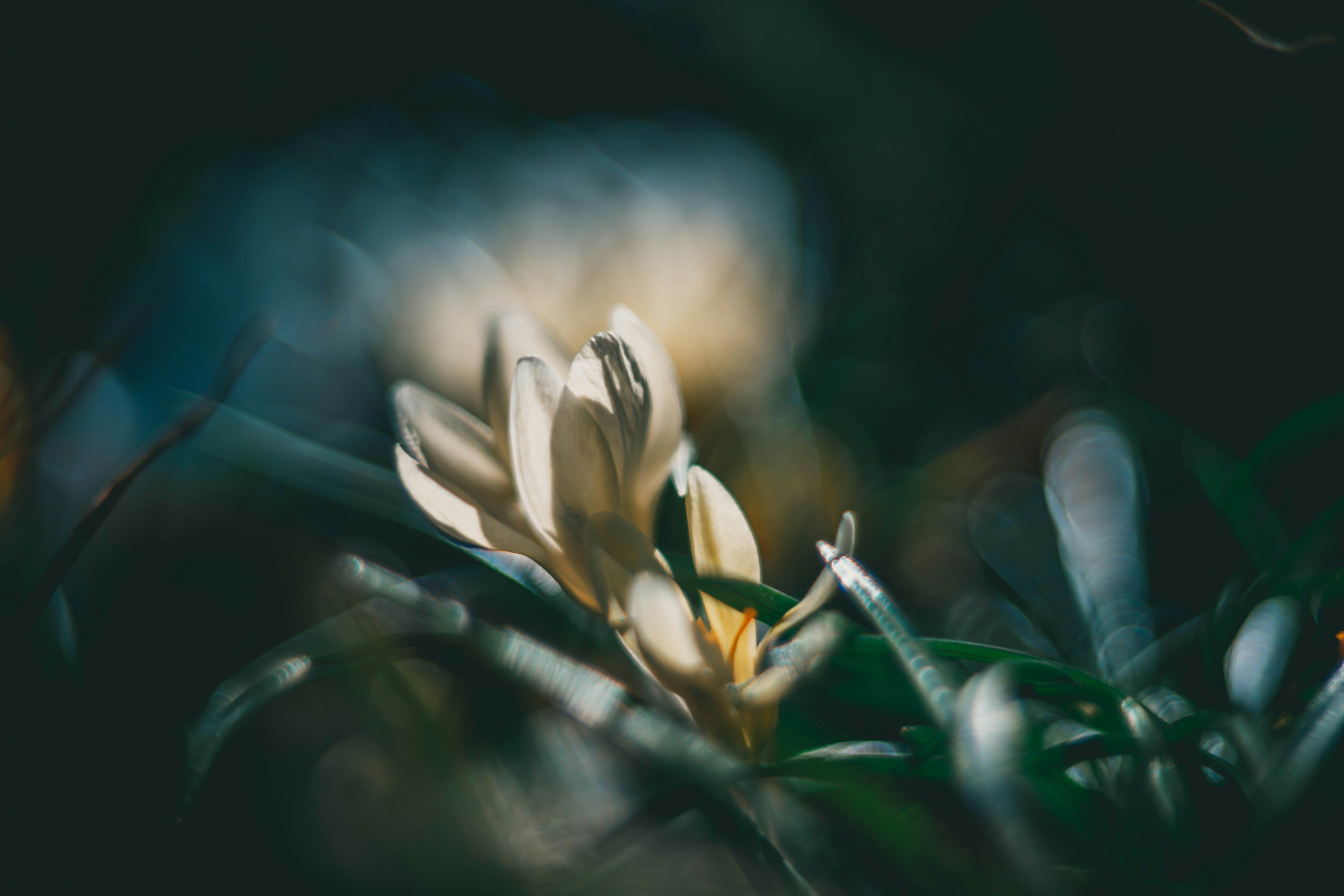 Photo by raimondklavins